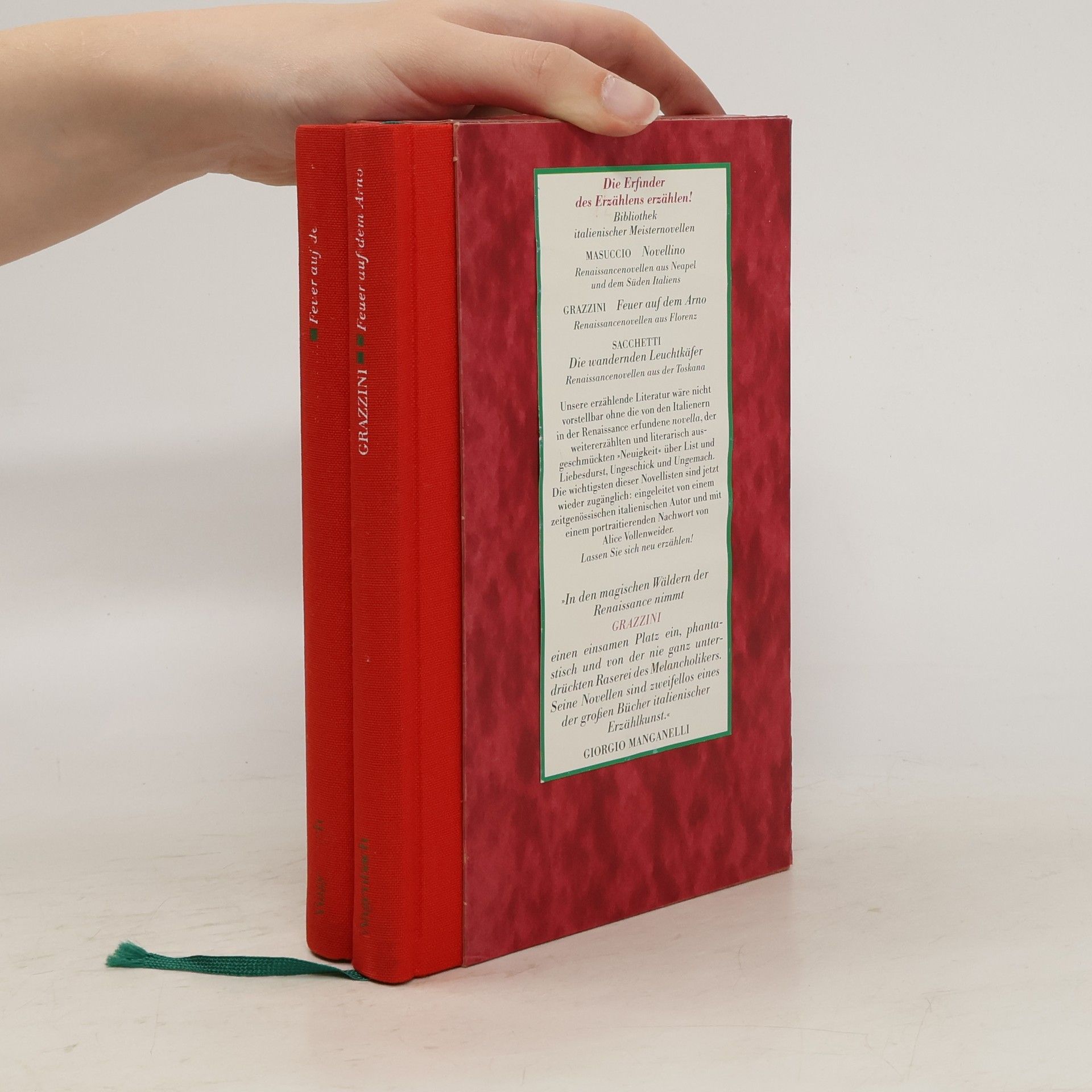 Anton Francesco Grazzini Feuer auf dem Arno (2 svazky)