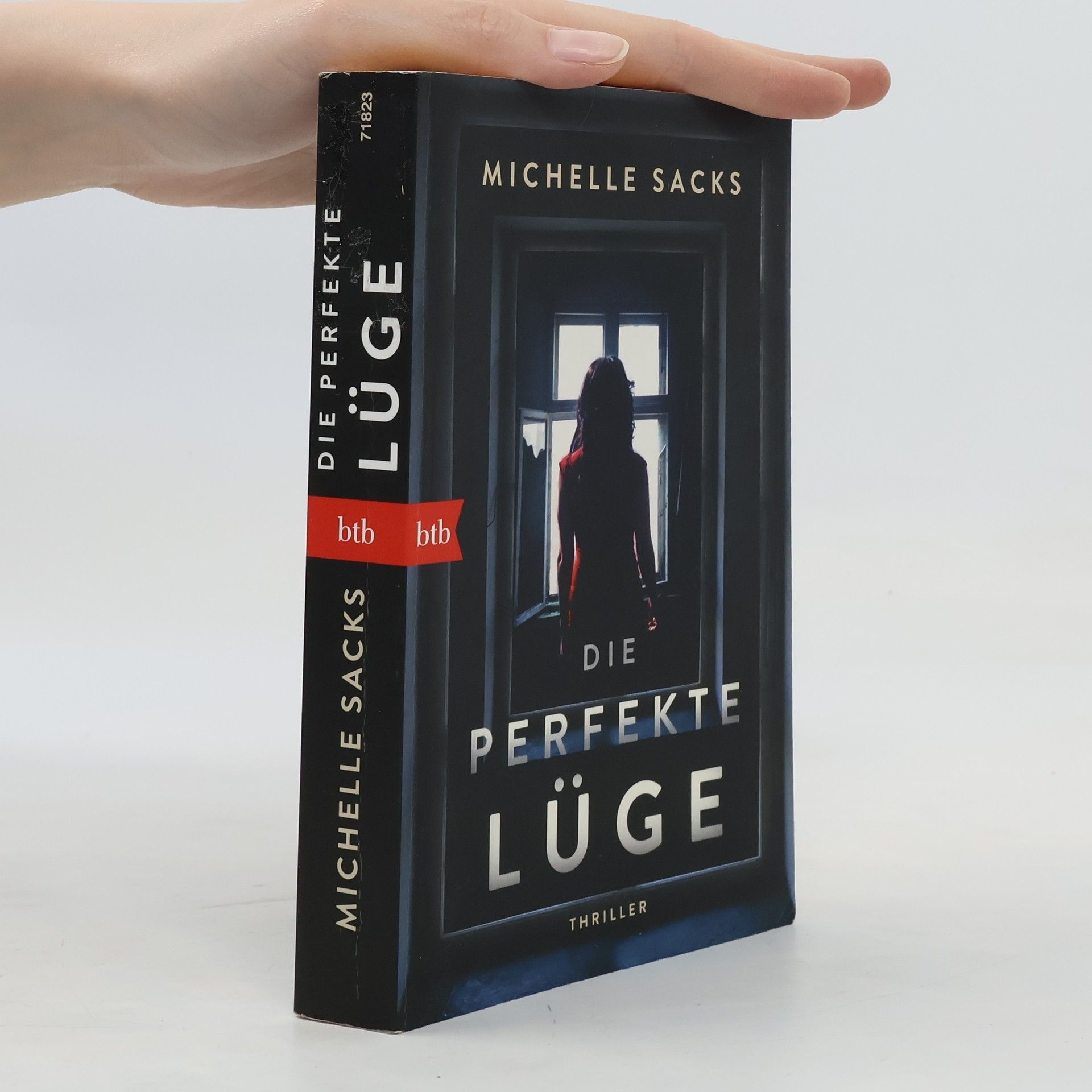 Michelle Sacks Die perfekte Lüge