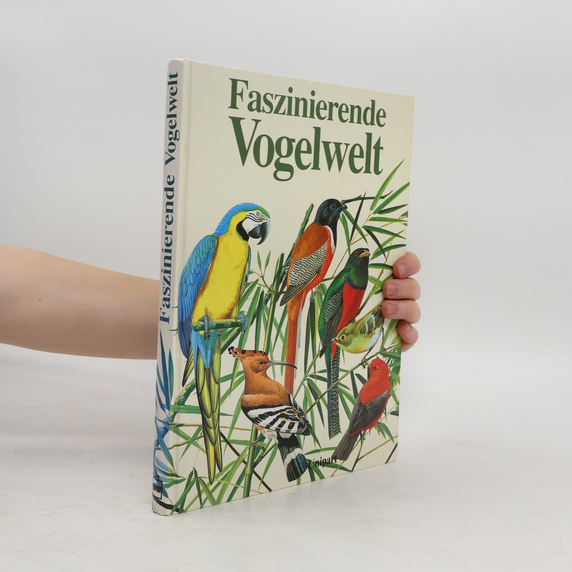 Goetz Rheinwald Faszinierende Vogelwelt