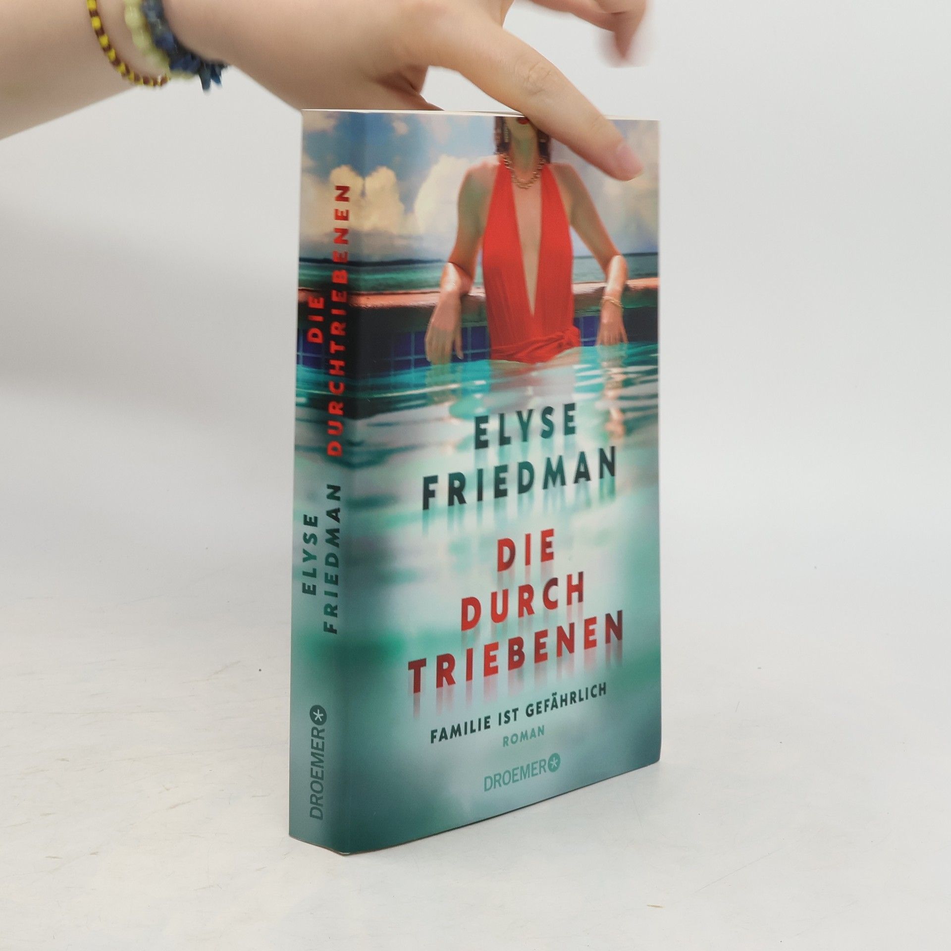 Elyse Friedman Die Durchtriebenen. Familie ist gefährlich. Roman | Bitter-böser Familien-Thriller aus Kanada