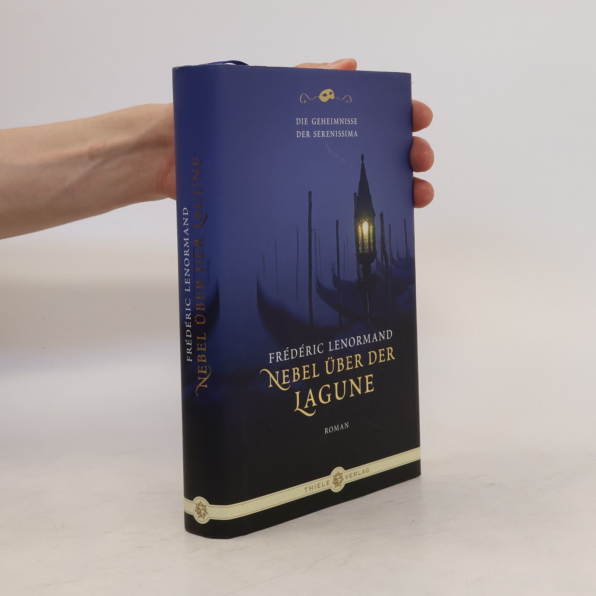 Frédéric Lenormand Nebel über der Lagune