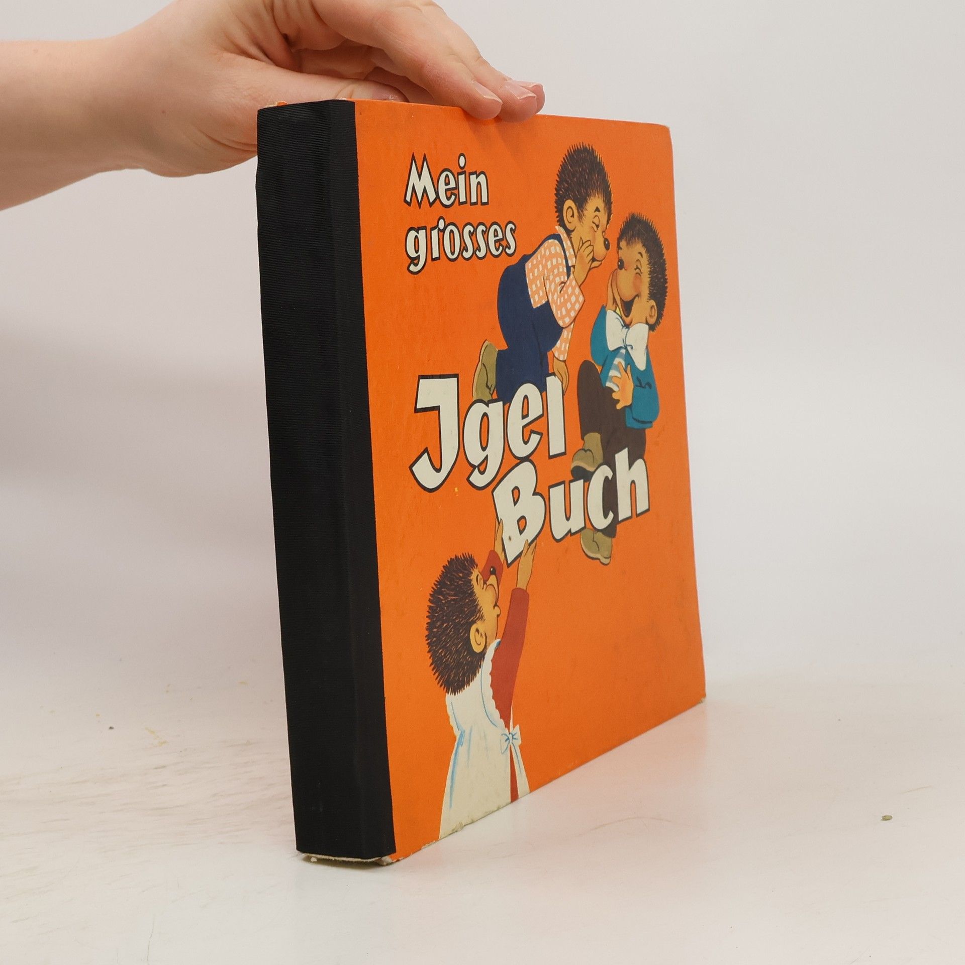 Autorenkollektiv Mein grosses Igel Buch