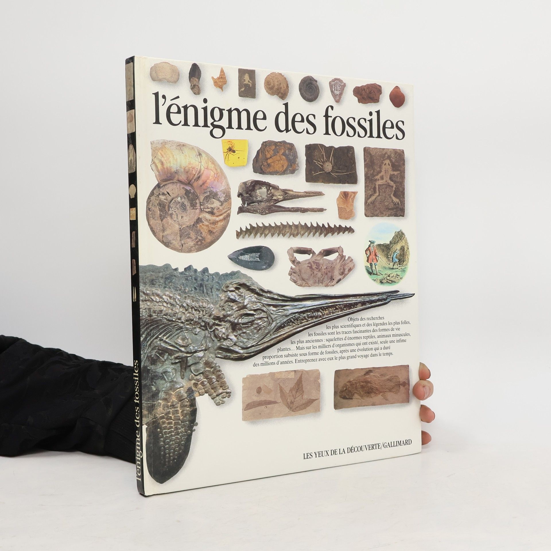 Peter Taylor L'Enigme des fossiles