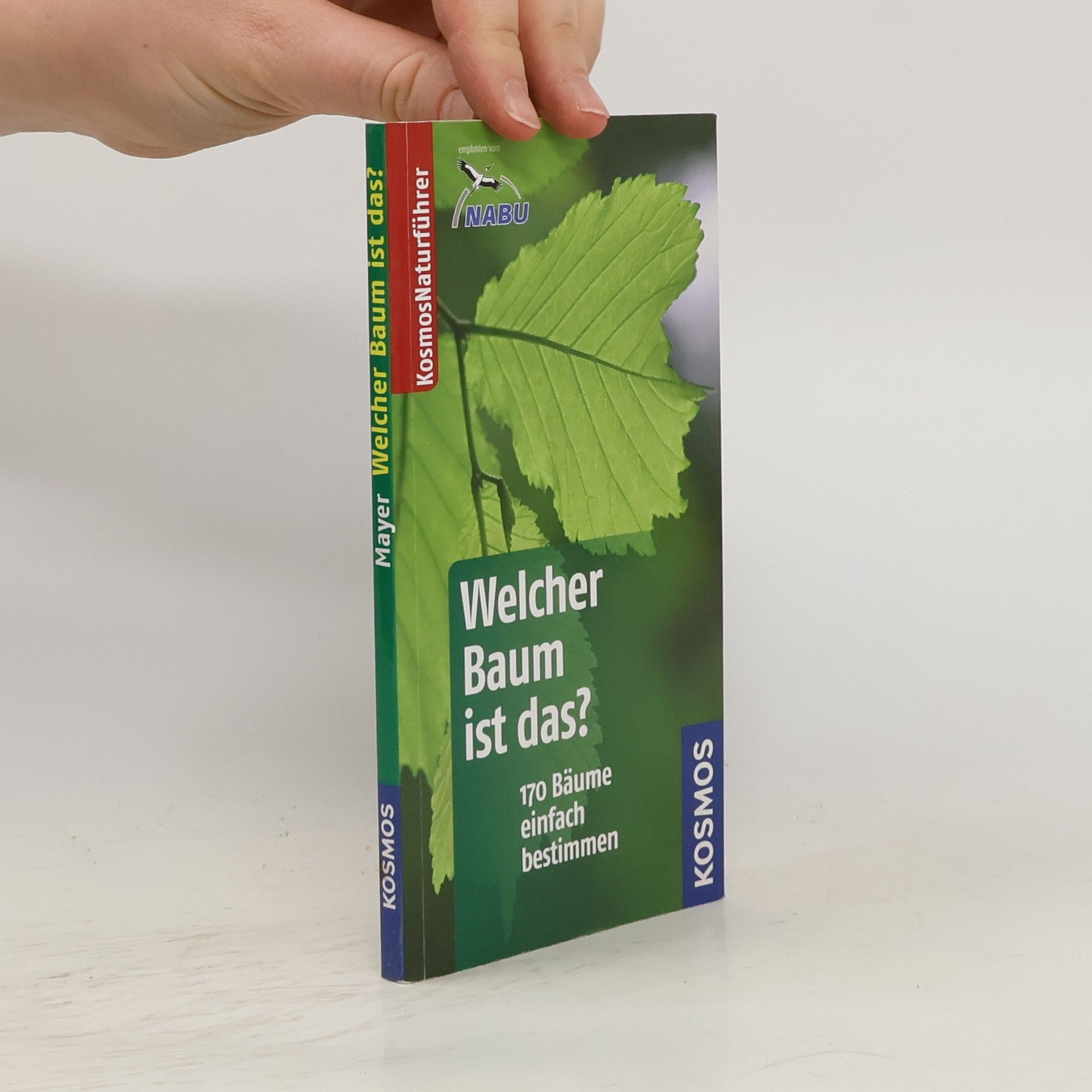 Joachim Mayer Welcher Baum ist das?