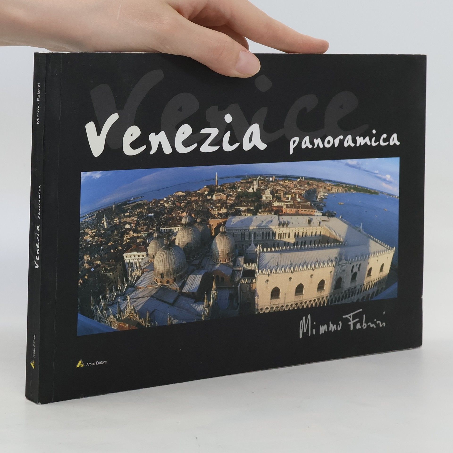Mimmo Fabrizi Venezia panoramica