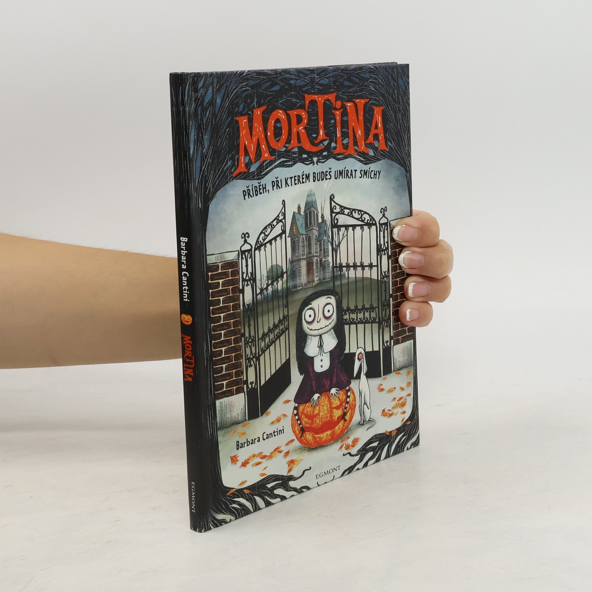 Barbara Cantini Mortina
