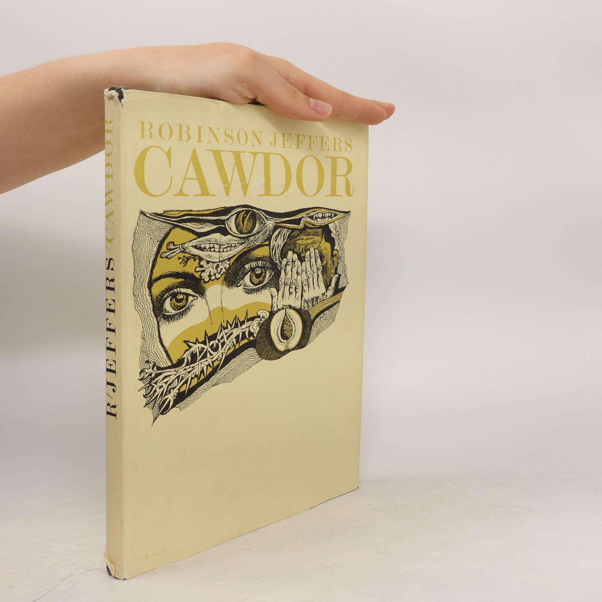 Robinson Jeffers Cawdor