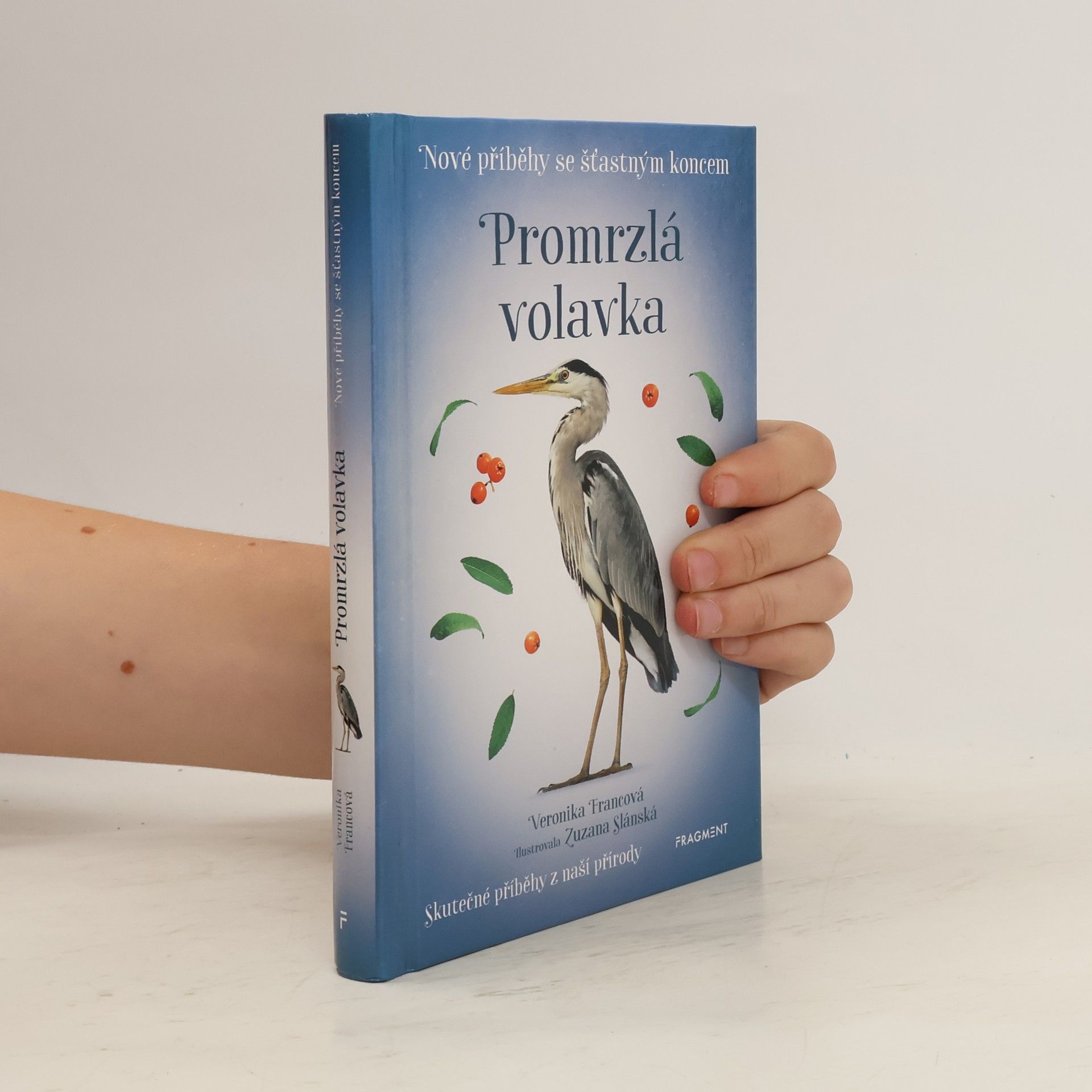 Veronika Francová Promrzlá volavka
