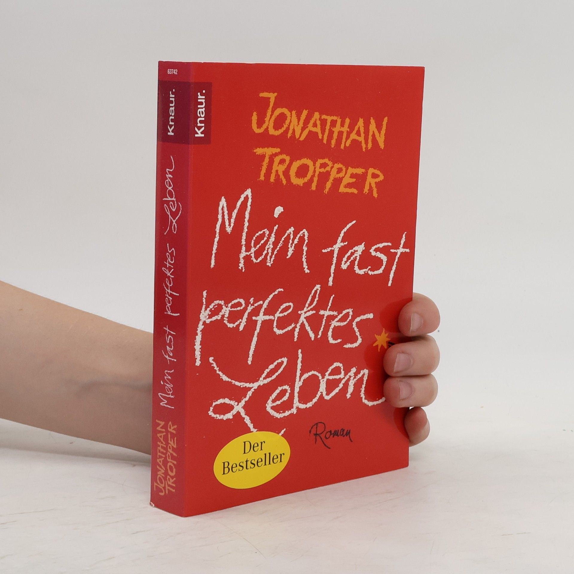 Jonathan Tropper Mein fast perfektes Leben