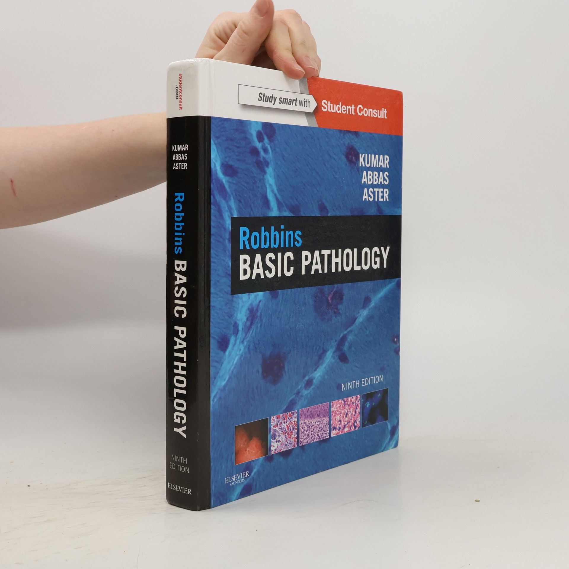 Viay Kumar Robbins basic pathology