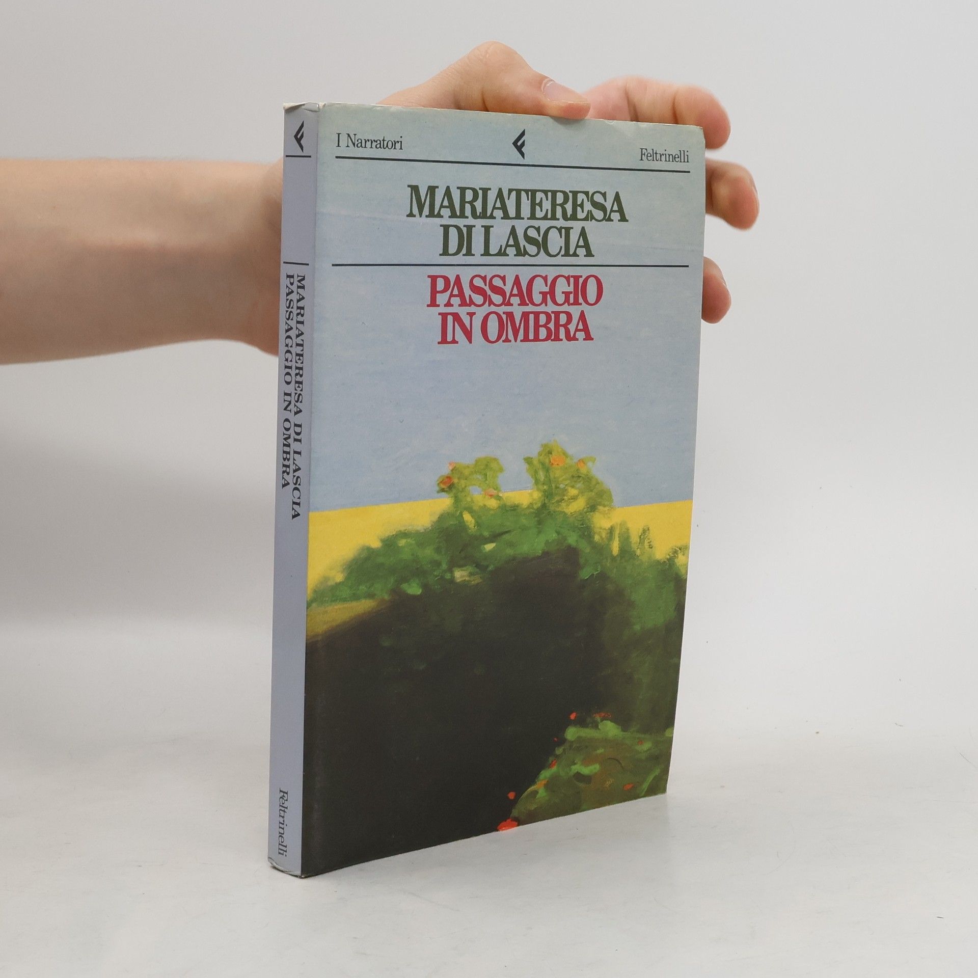 Mariateresa Di Lascia Passaggio in ombra