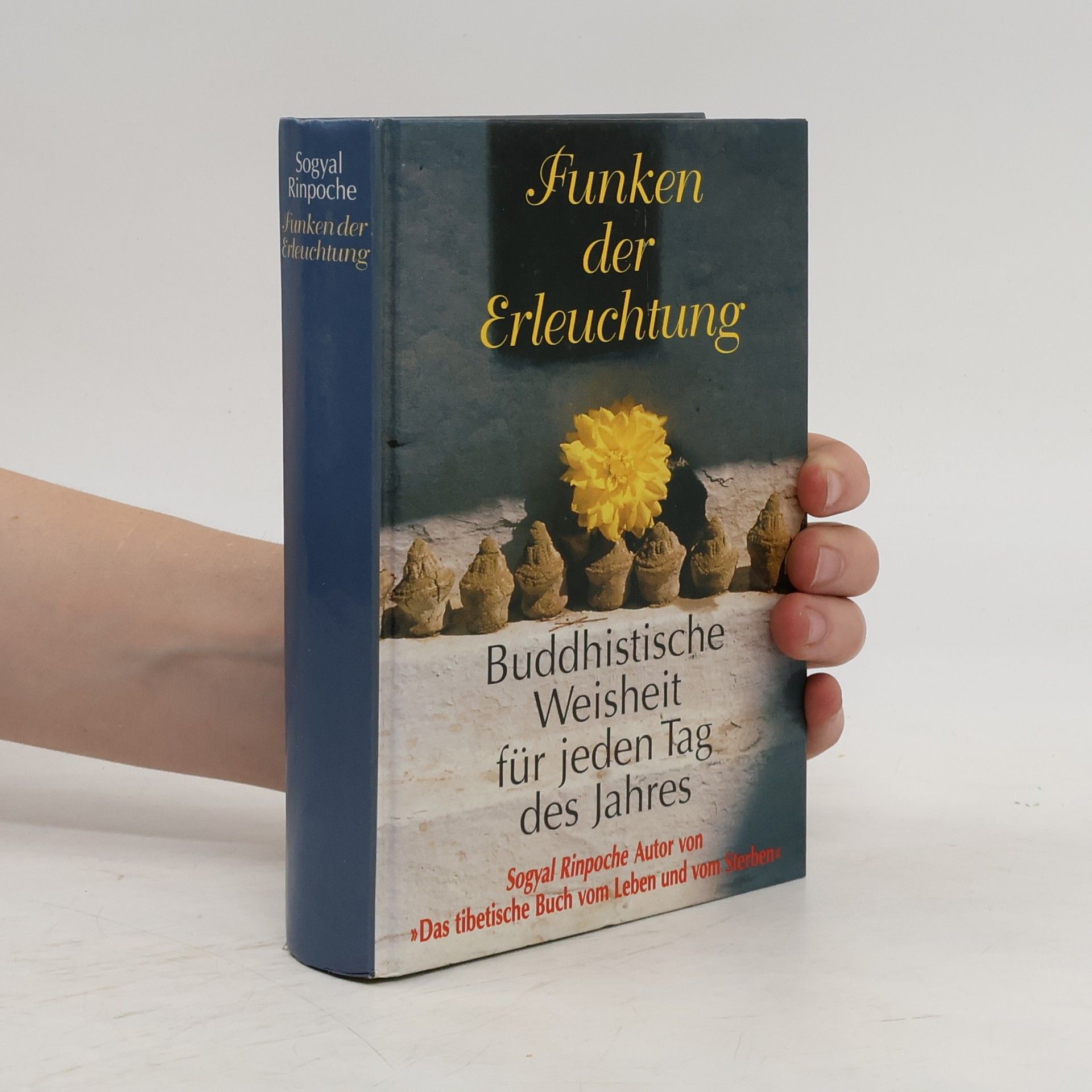 Sogyal Rinpoche Funken der Erleuchtung