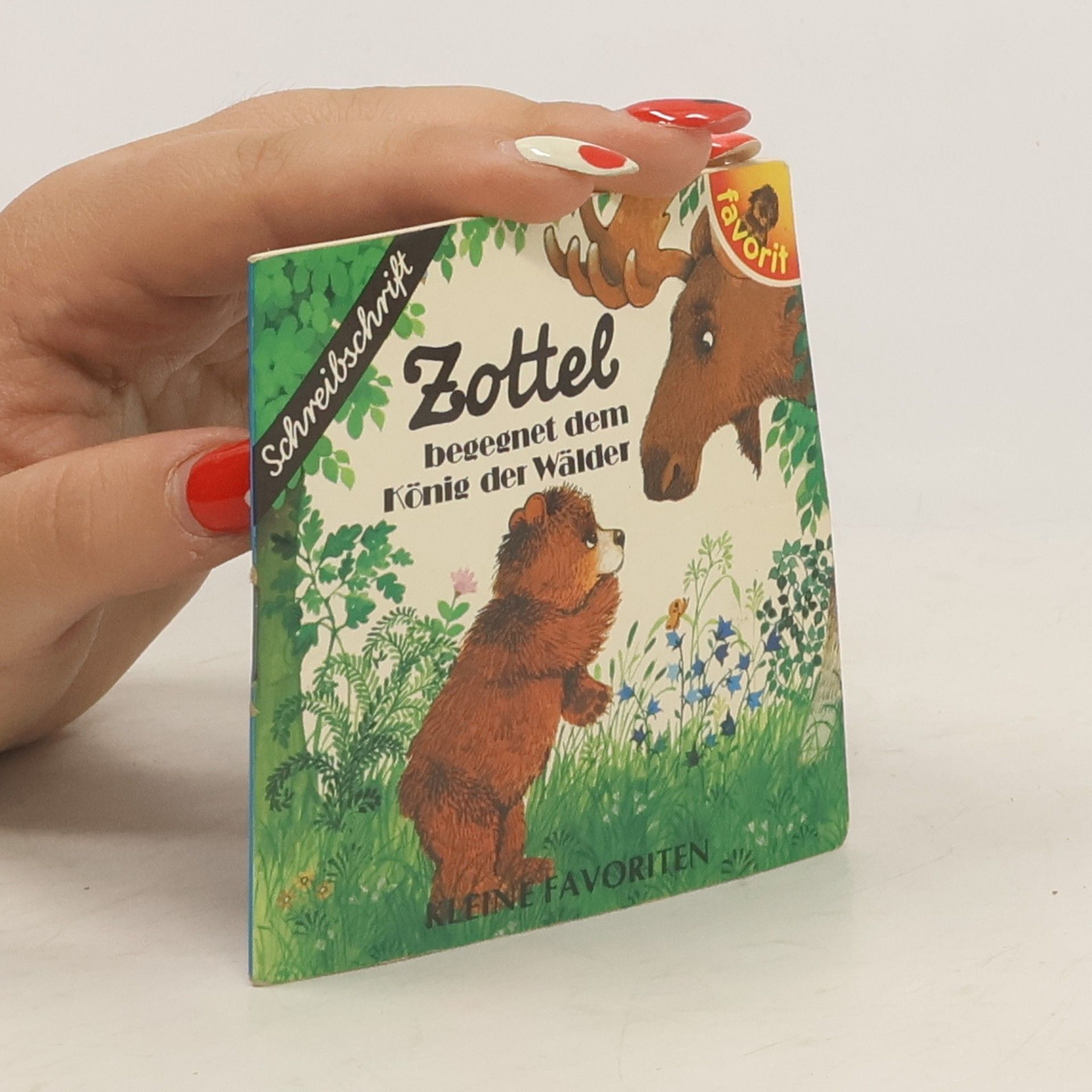 Collectif d'auteurs Zottel begegnet dem König der Wälder