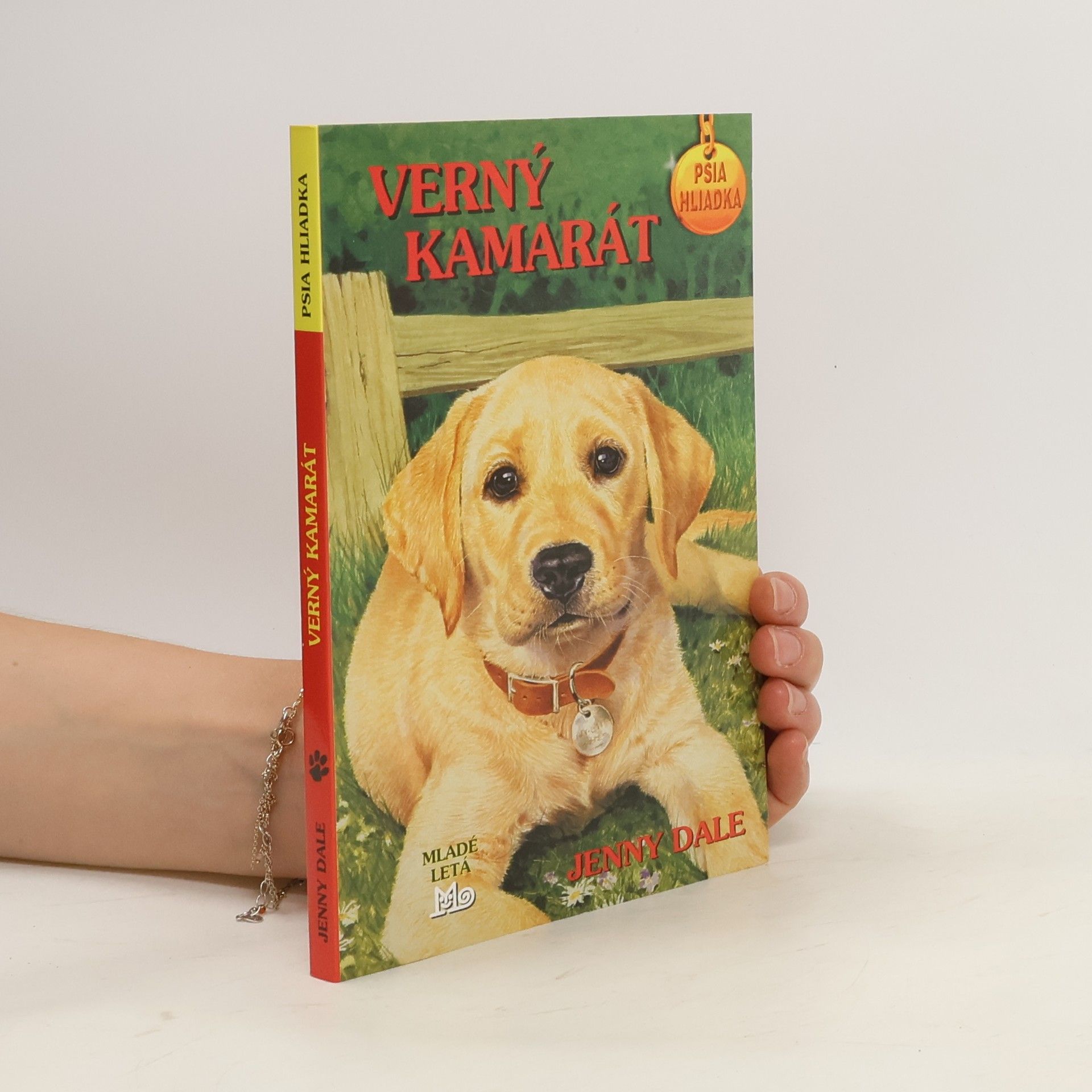 Linda Chapman Verný kamarát