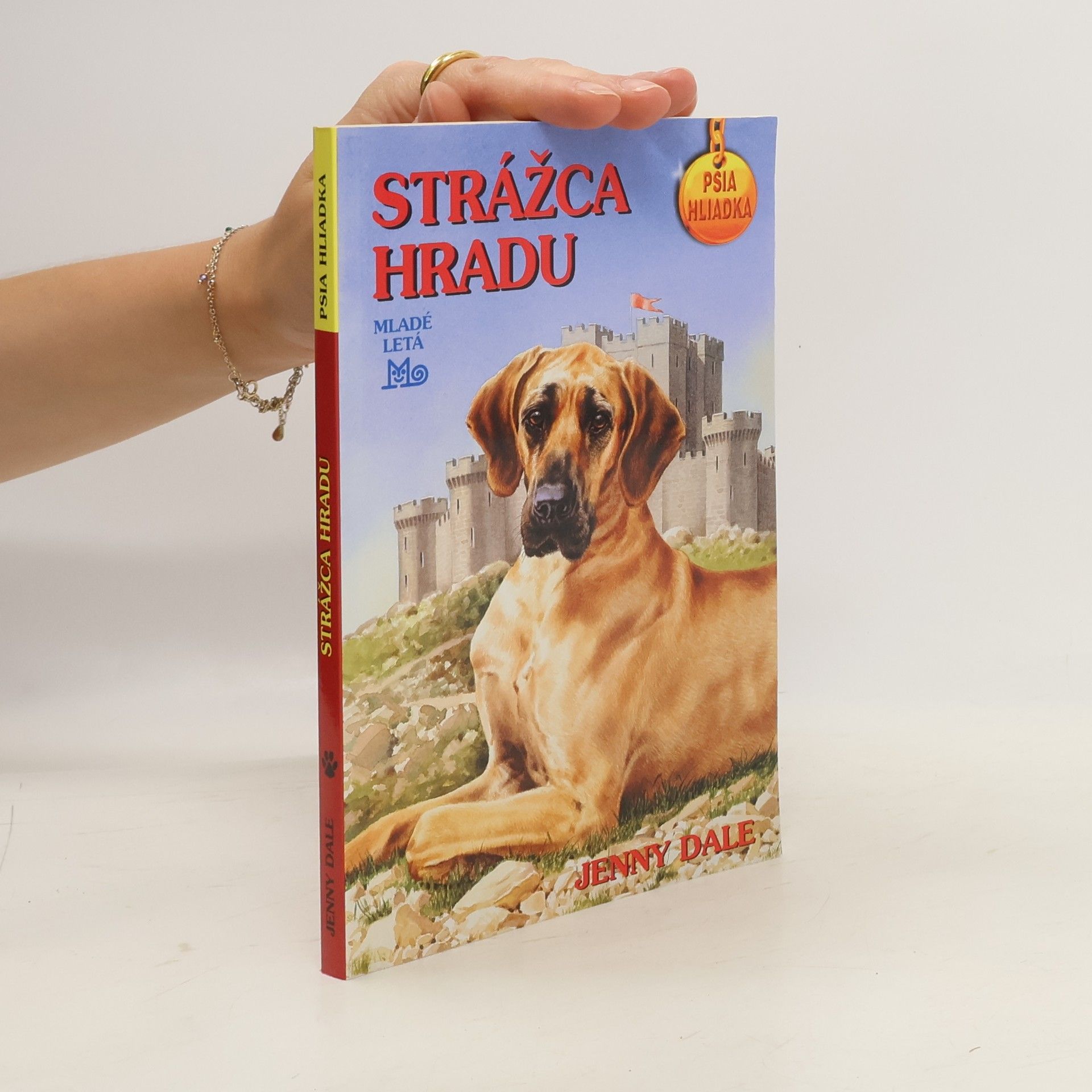 Linda Chapman Strážca hradu