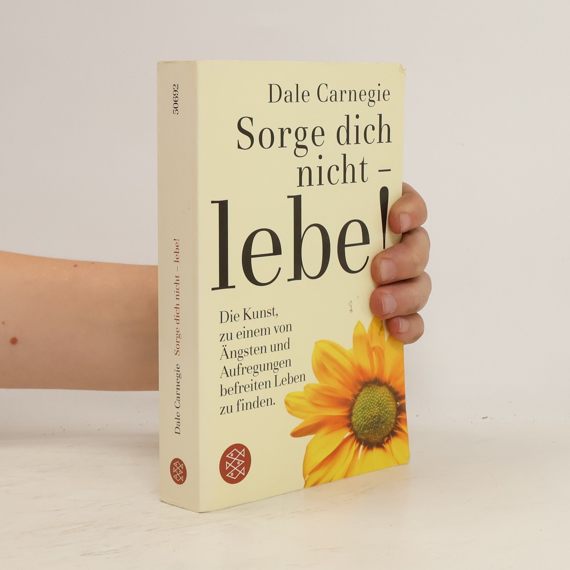 Dale Carnegie Sorge dich nicht - lebe!