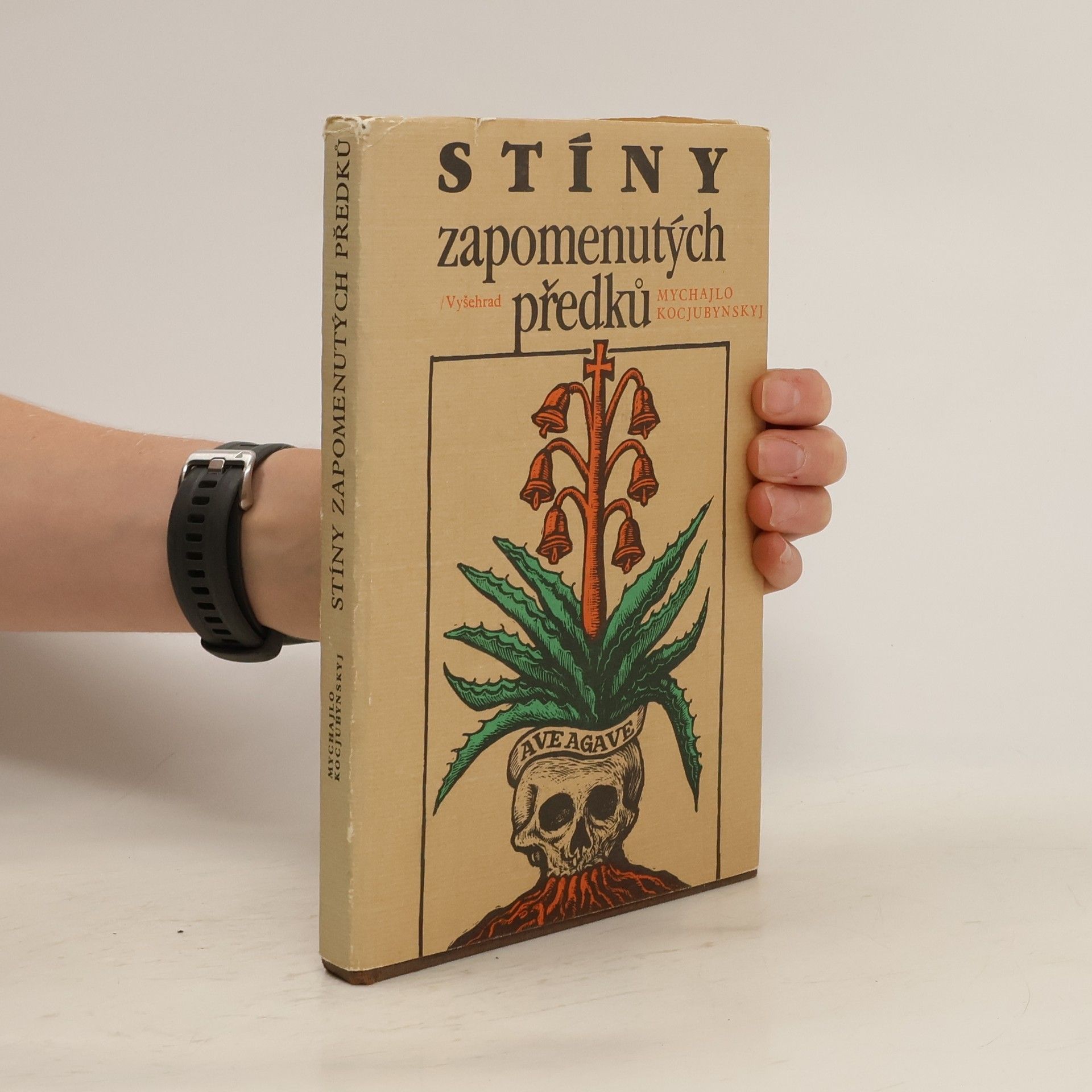 Mychajlo Kocjubynskyj Stíny zapomenutých předků