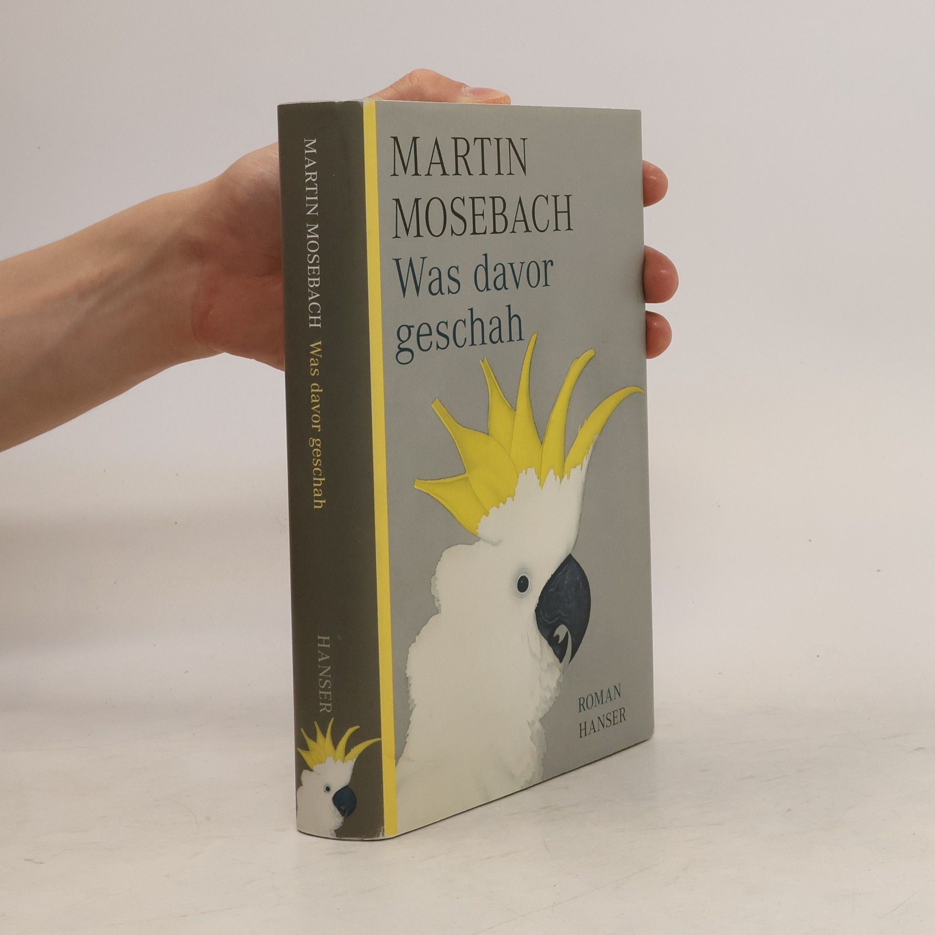 Martin Mosebach Was davor geschah
