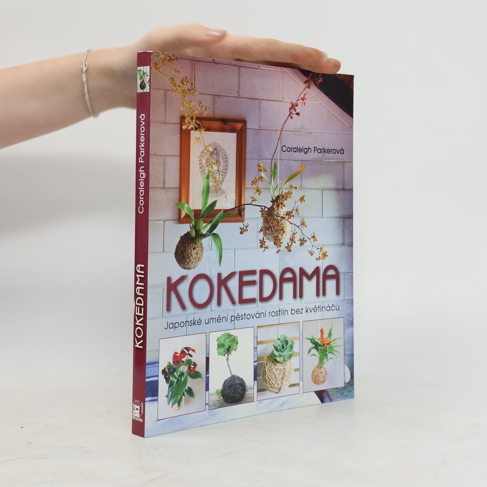 Coraleigh Parker Kokedama - Japonské umění pěstování rostlin bez květináčů