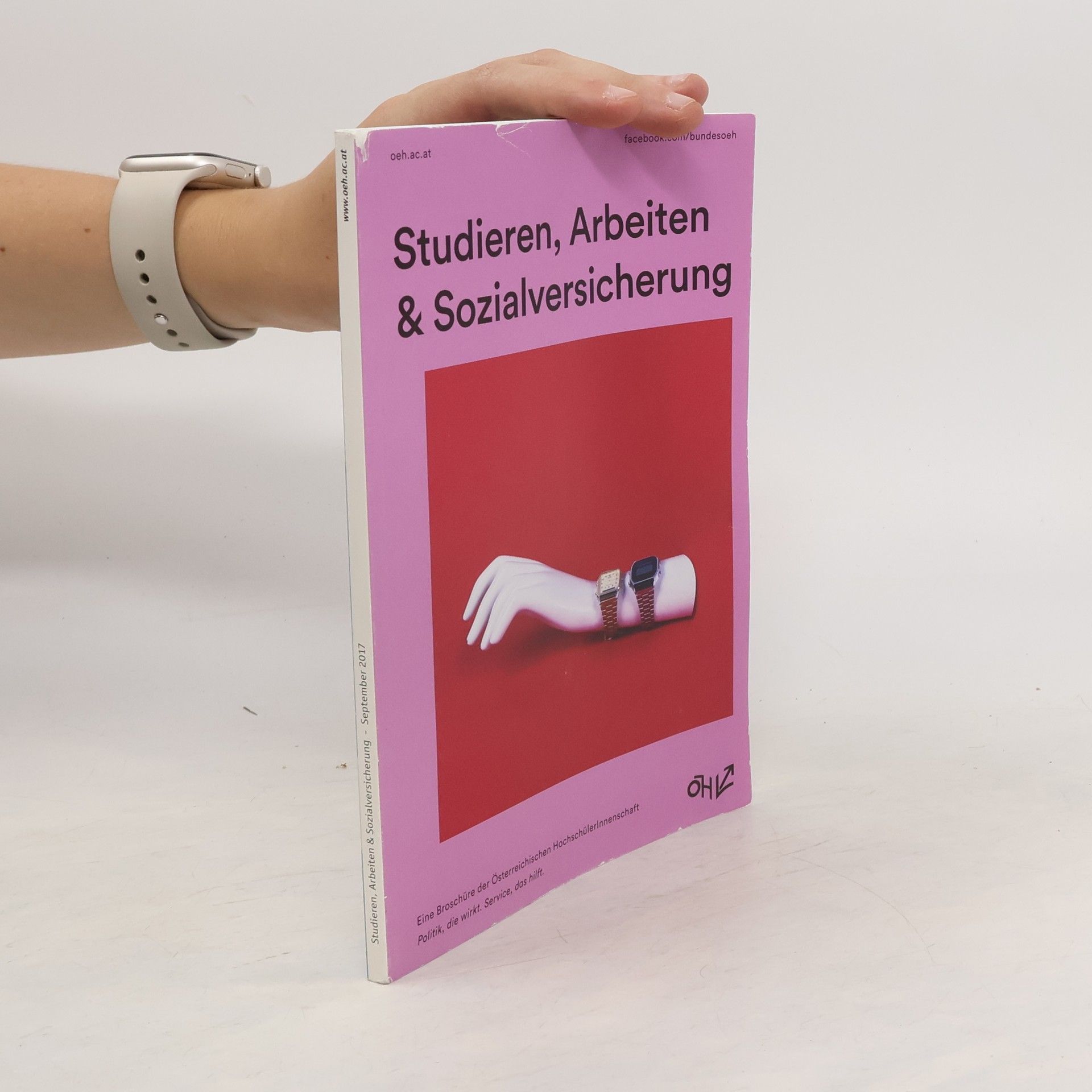 Collectif d'auteurs Studieren, Arbeiten & Sozialversicherung