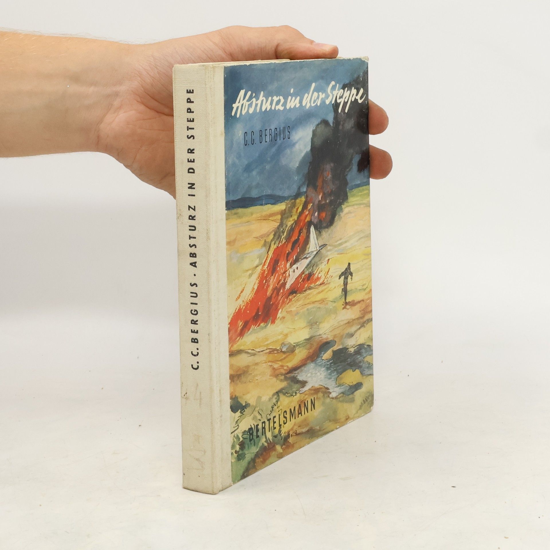C. C. Bergius Absturz in der Steppe