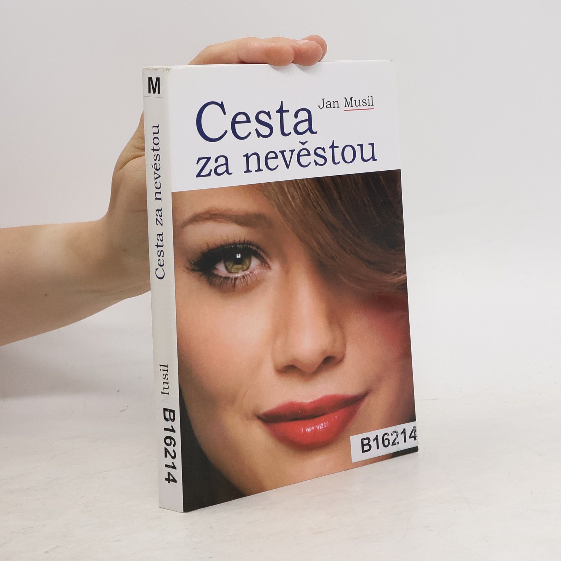 Jan Musil Cesta za nevěstou