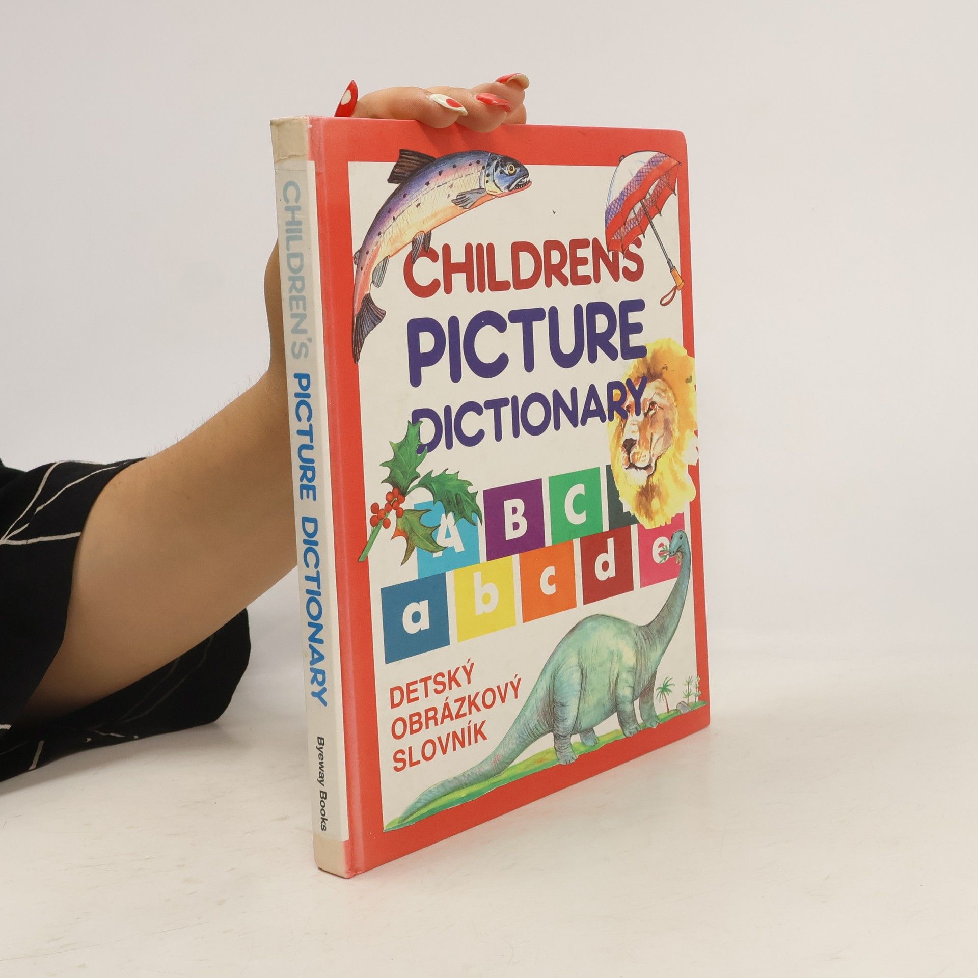 Collectif d'auteurs Children's Picture Dictionary