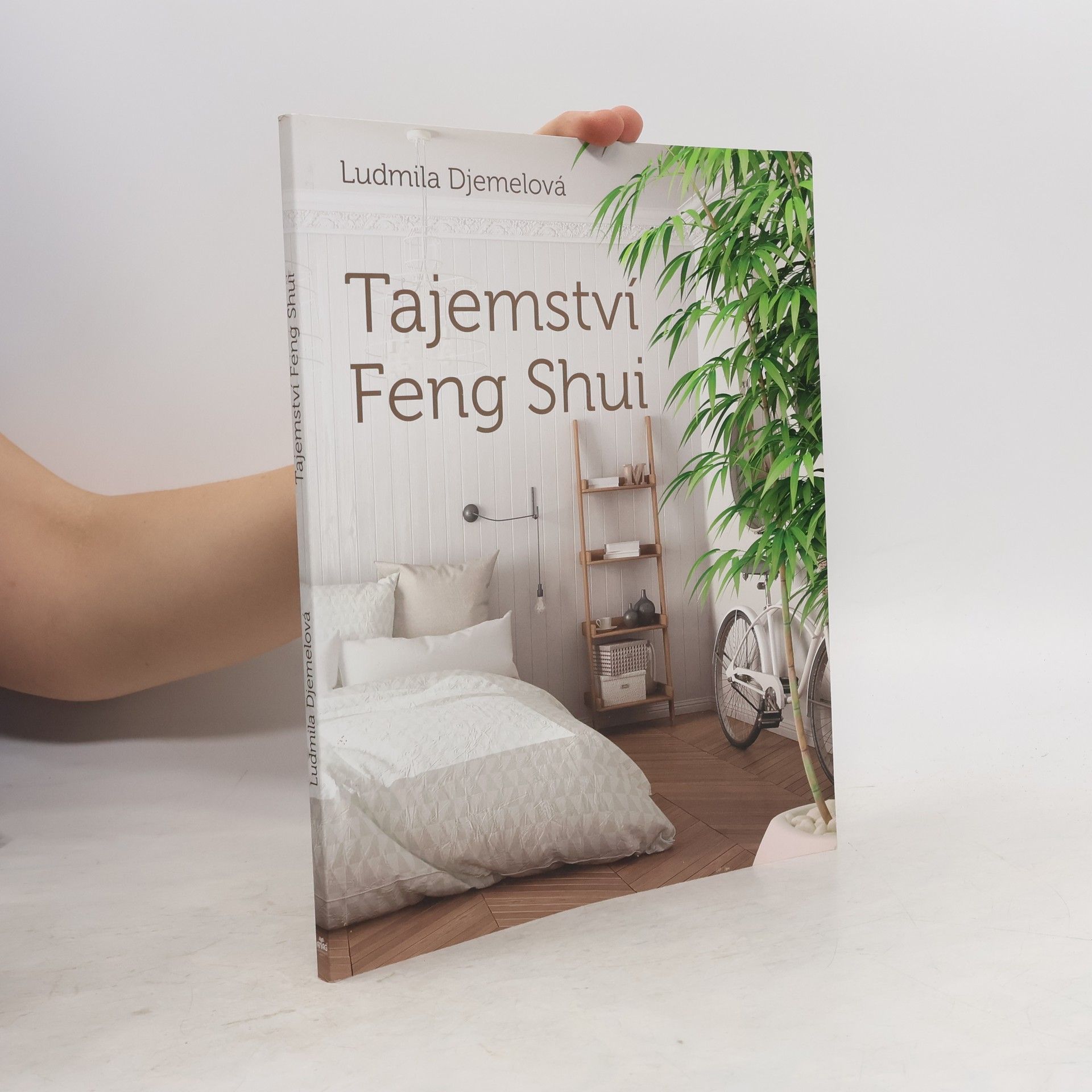 Ludmila Djemelová Tajemství Feng Shui