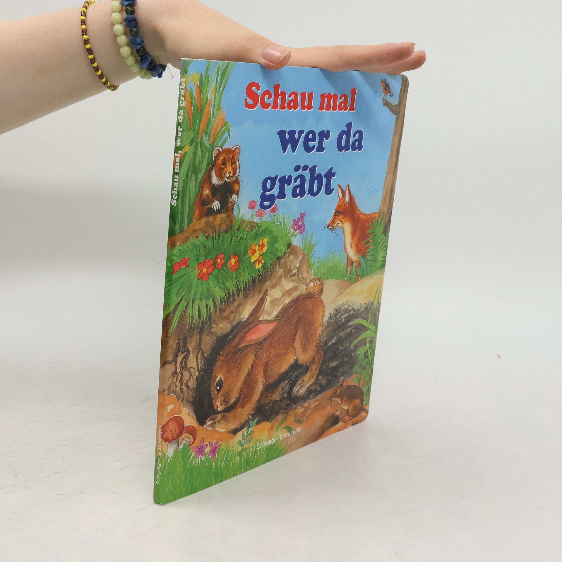 kolektiv Schau mal, wer da gräbt