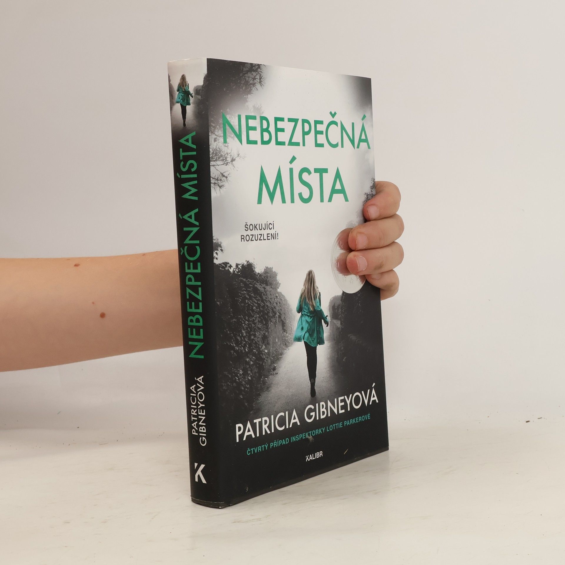 Patricia Gibney Nebezpečná místa