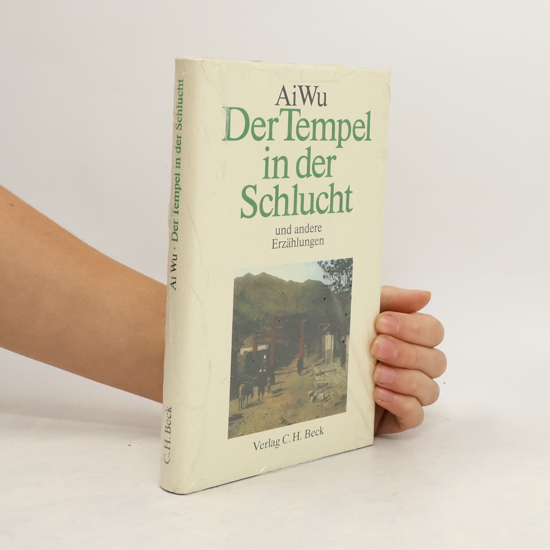 Wu Ai Der Tempel in der Schlucht