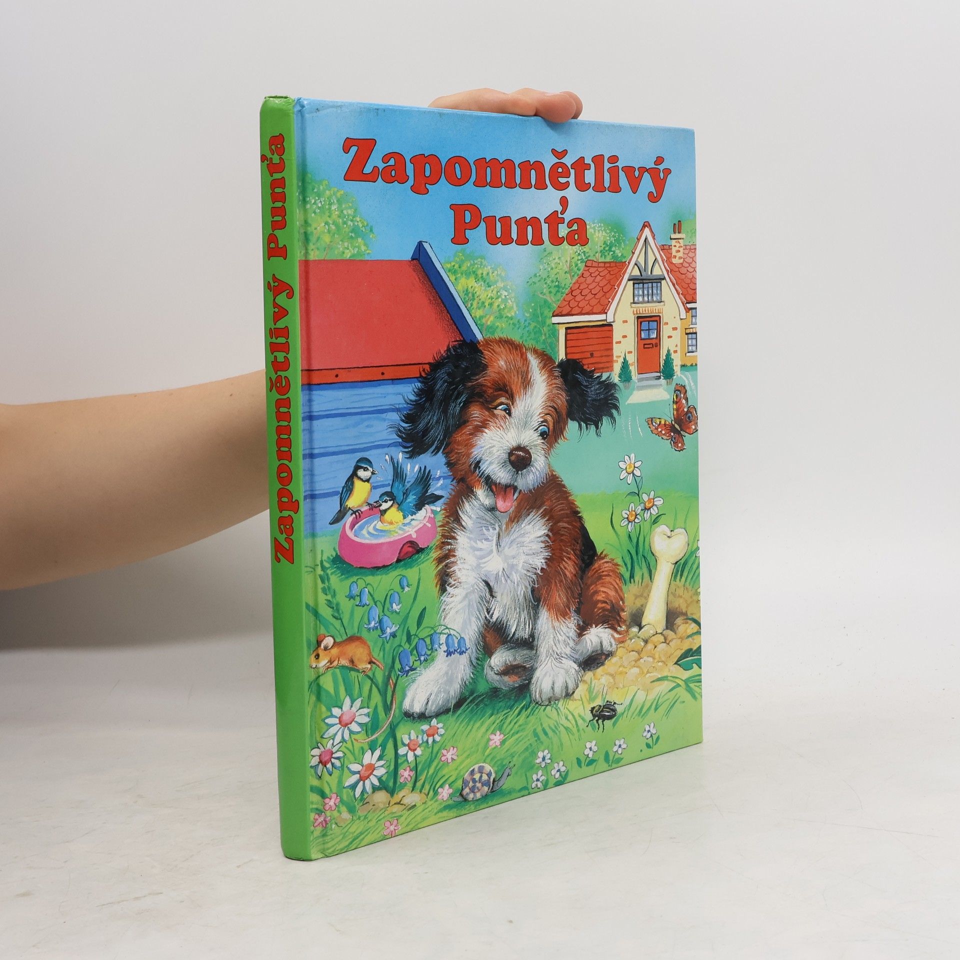 Elke Meinardus Zapomnětlivý Punťa