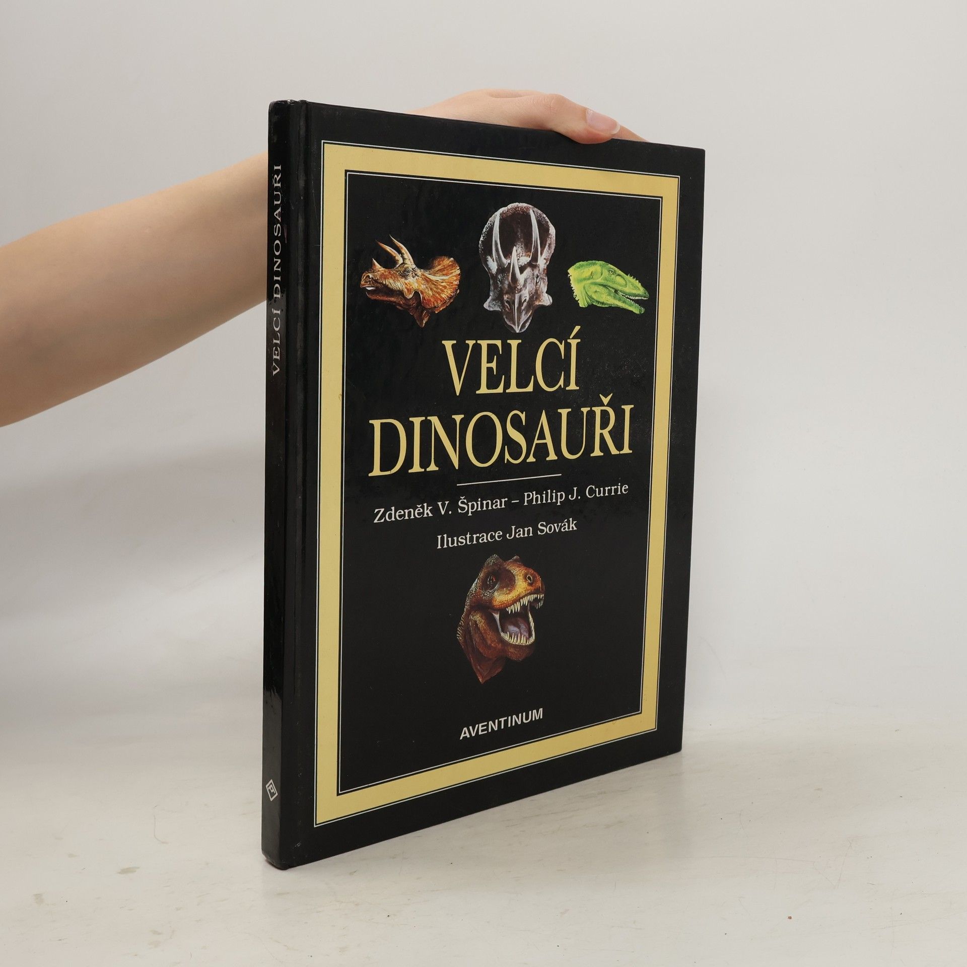 Velcí dinosauři