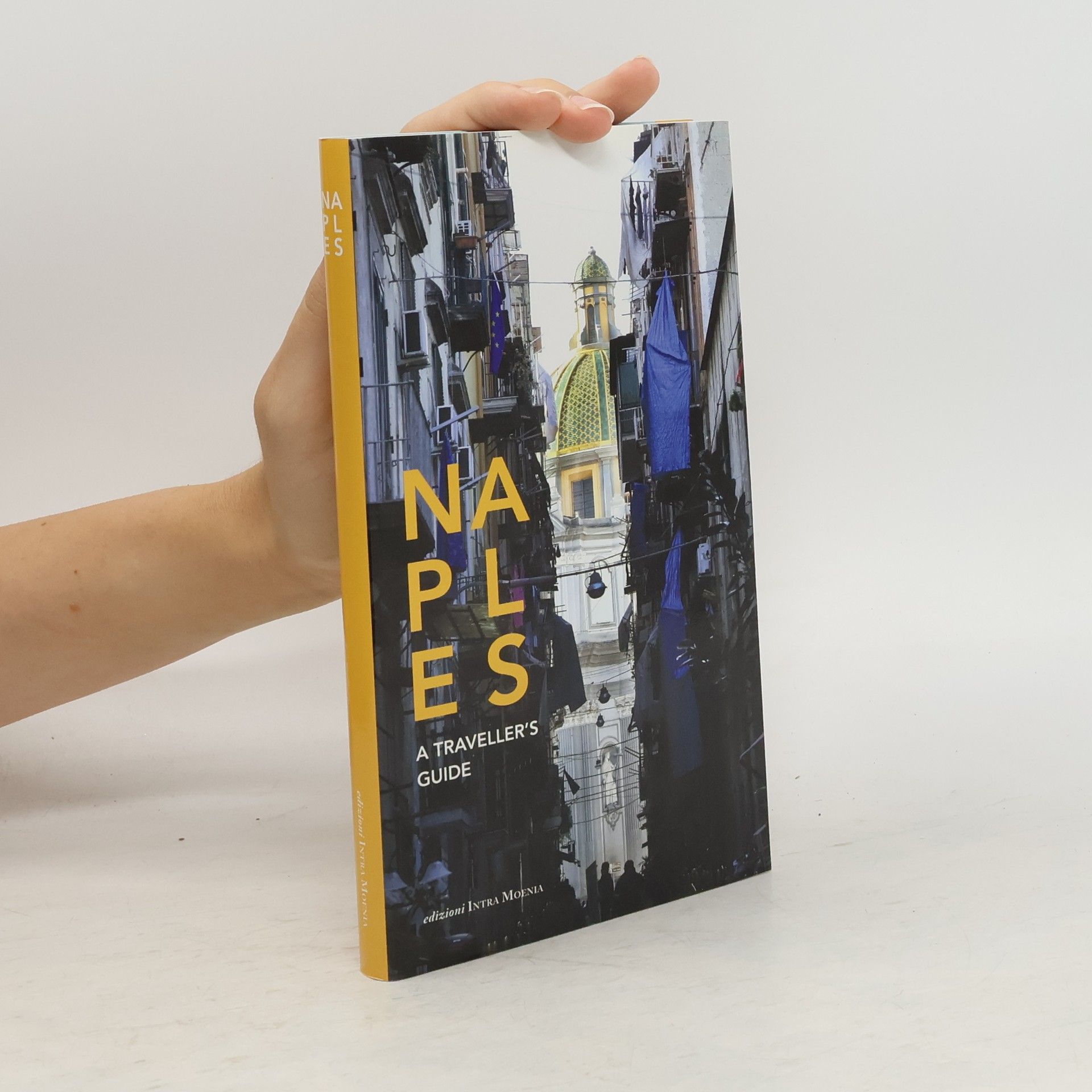 Auteurscollectief Naples. A Traveller's Guide