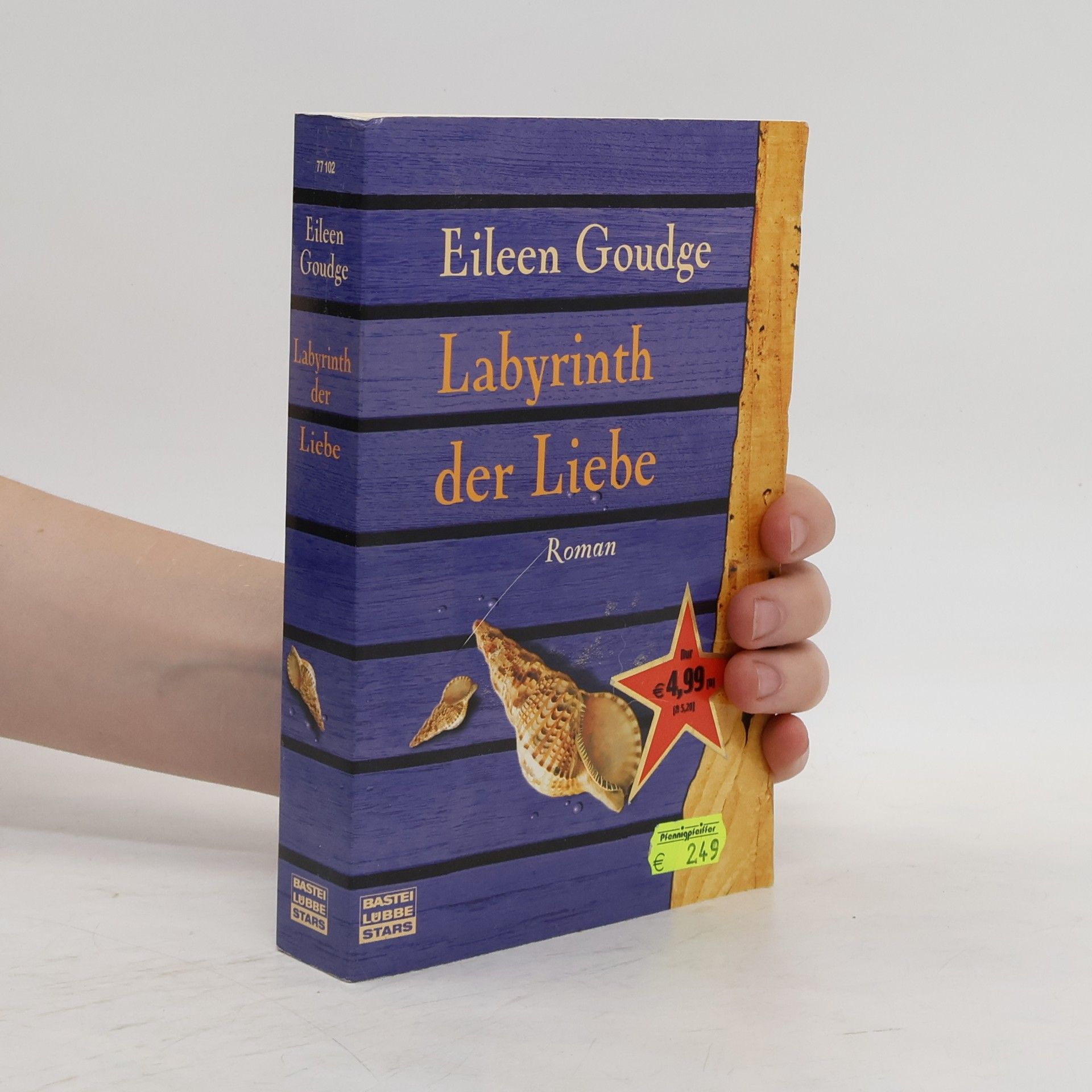 Eileen Goudge Labyrinth der Liebe. Roman