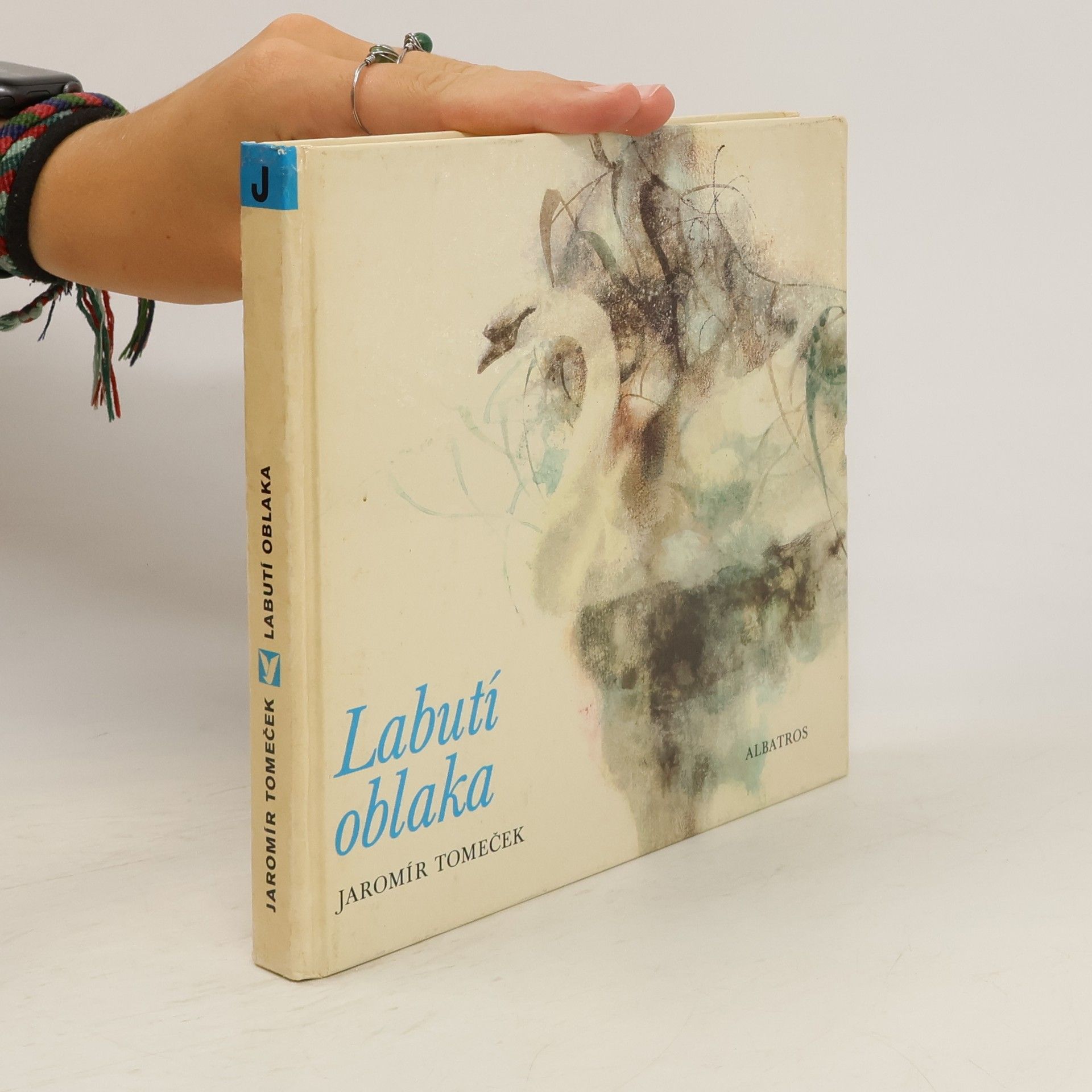 Jaromír Tomeček Labutí oblaka. Sága o luhu