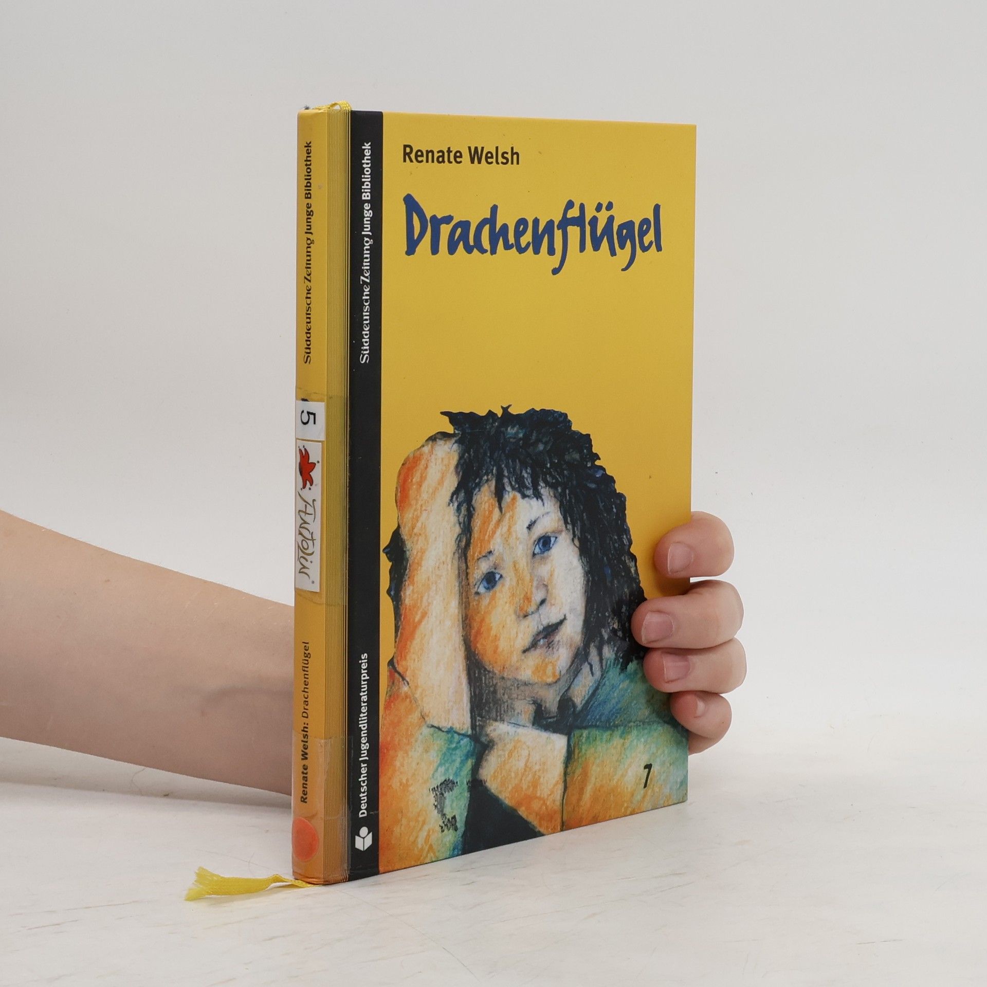 Renate Welsh Drachenflügel. Ausgezeichnet mit dem Österreichischen Staatspreis für Kinderliteratur, Österreichischer Kinderbuchpreis und Silberne Feder