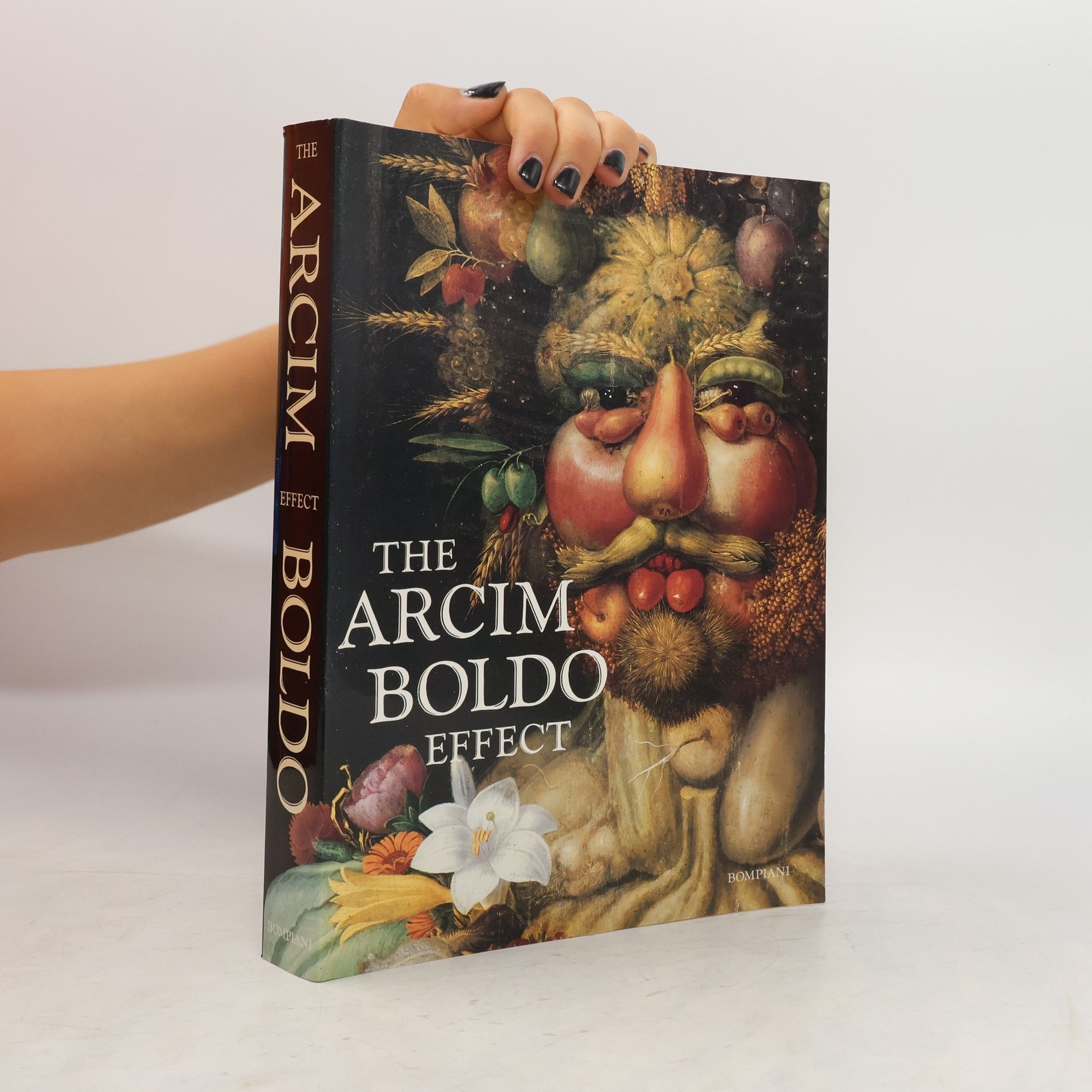 Collectif d'auteurs The Arcim Boldo Effect