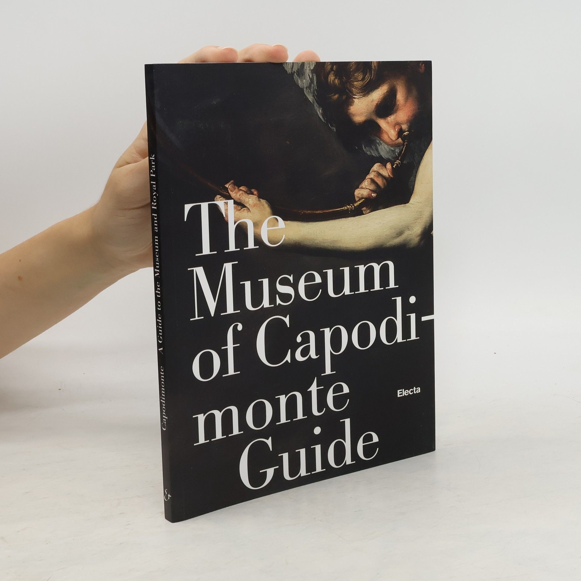 Luigi Gallo The Museum of Capodimonte