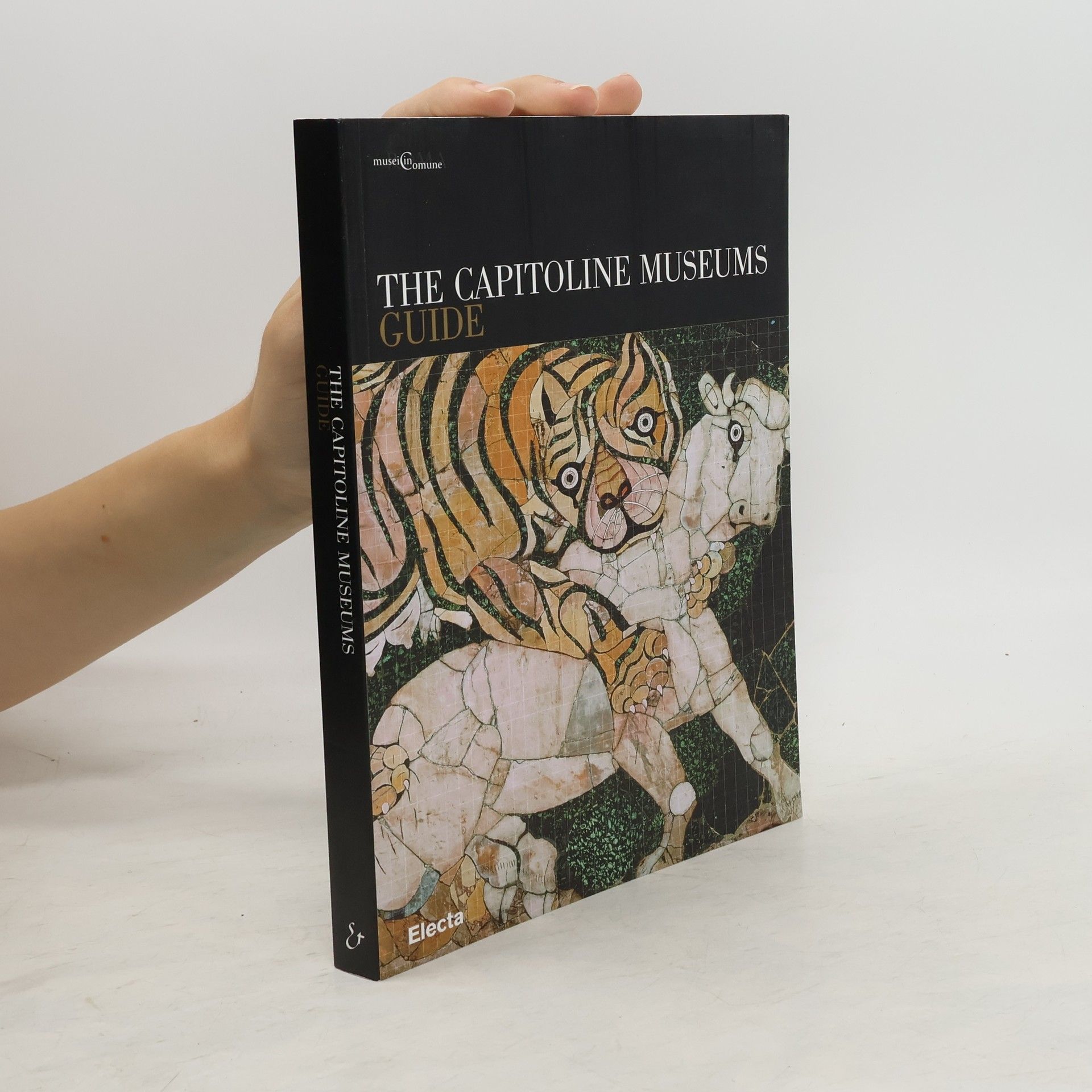 Collective The Capitoline museums guide