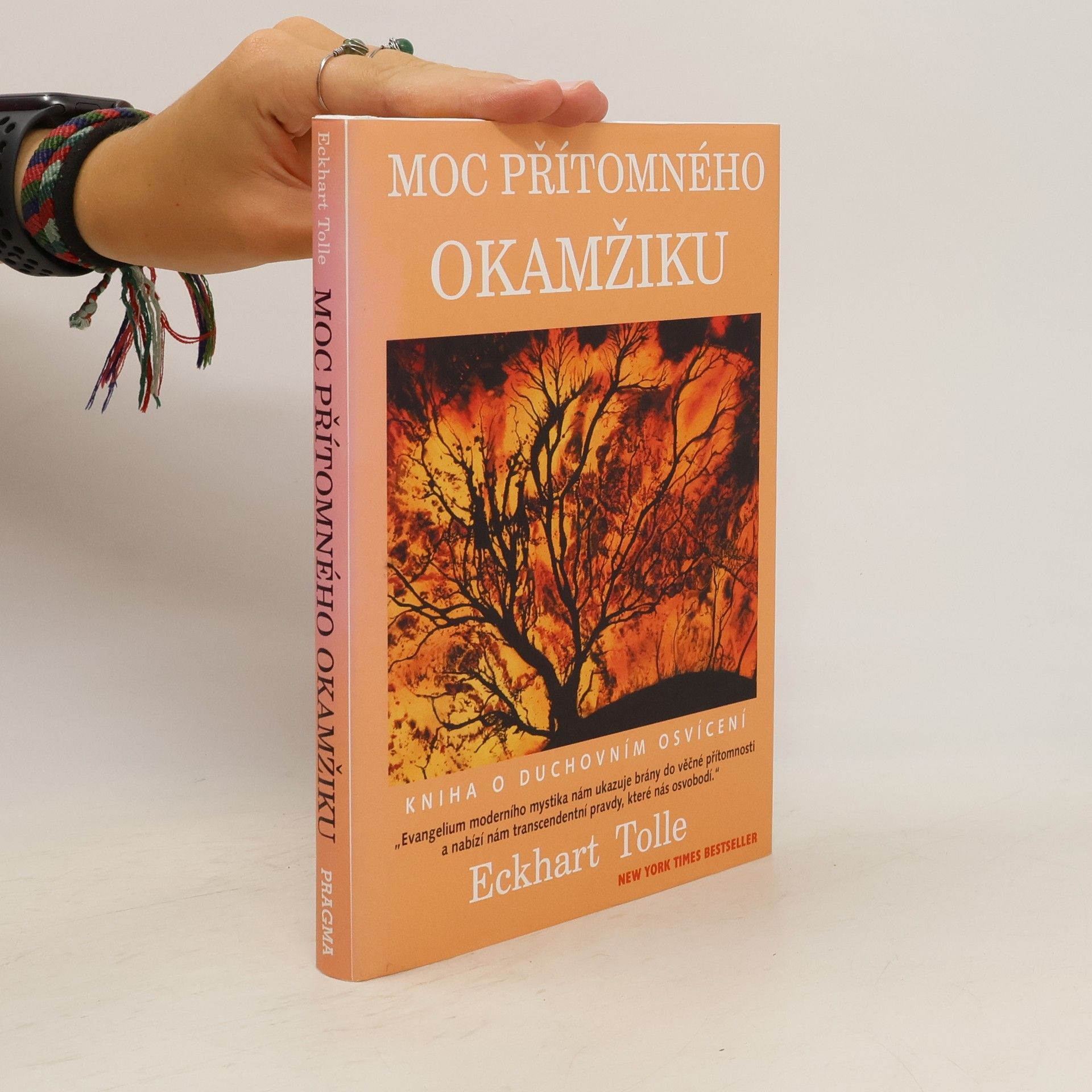 Eckhart Tolle Moc přítomného okamžiku