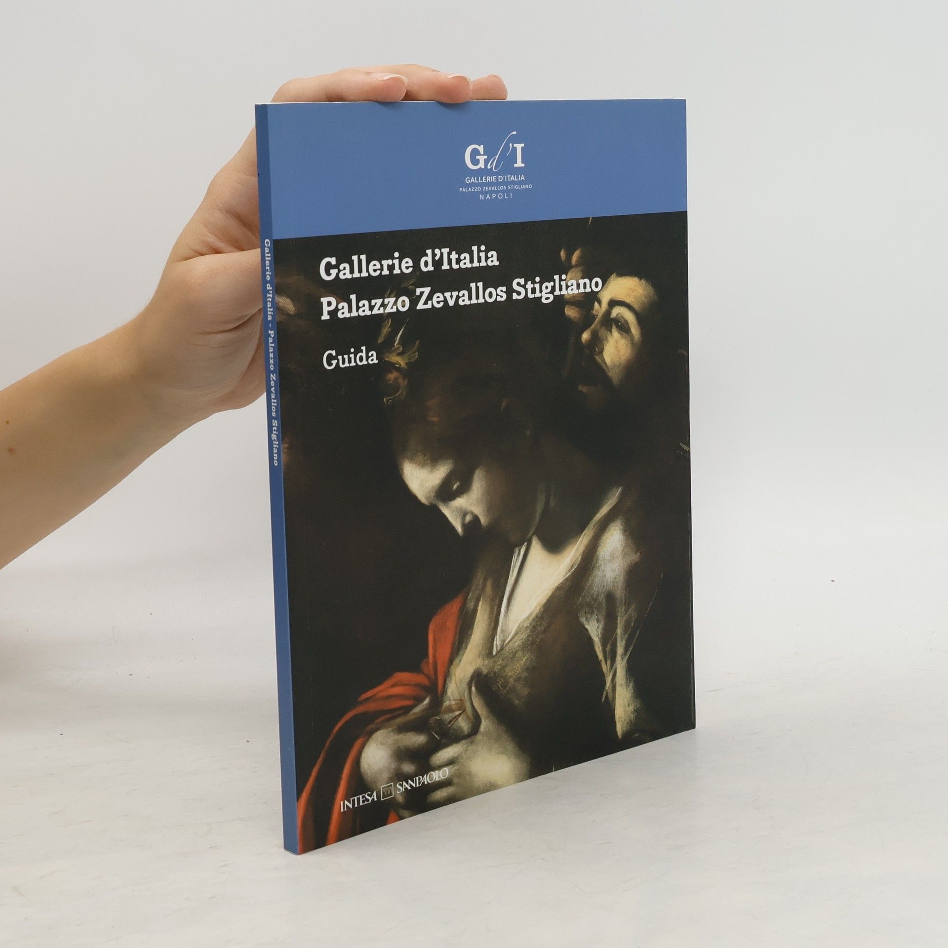 AA.VV. Gallerie d'Italia. Palazzo Zevallos Stigliano. Guida