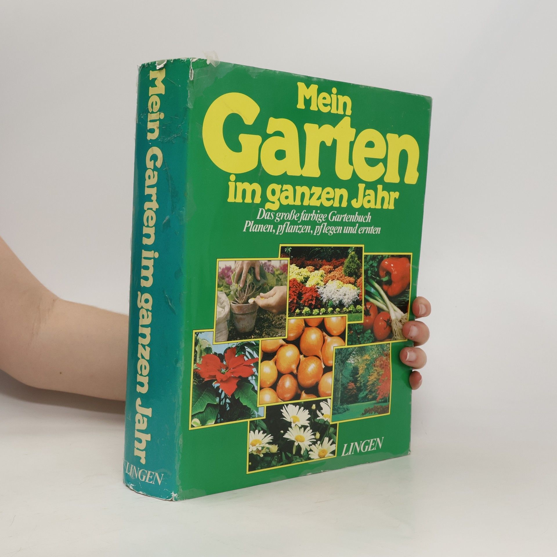 Autorenkollektiv Mein Garten im ganzen Jahr