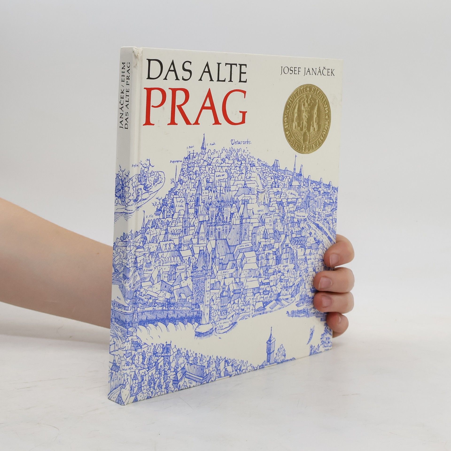 Josef Janáček Das alte Prag