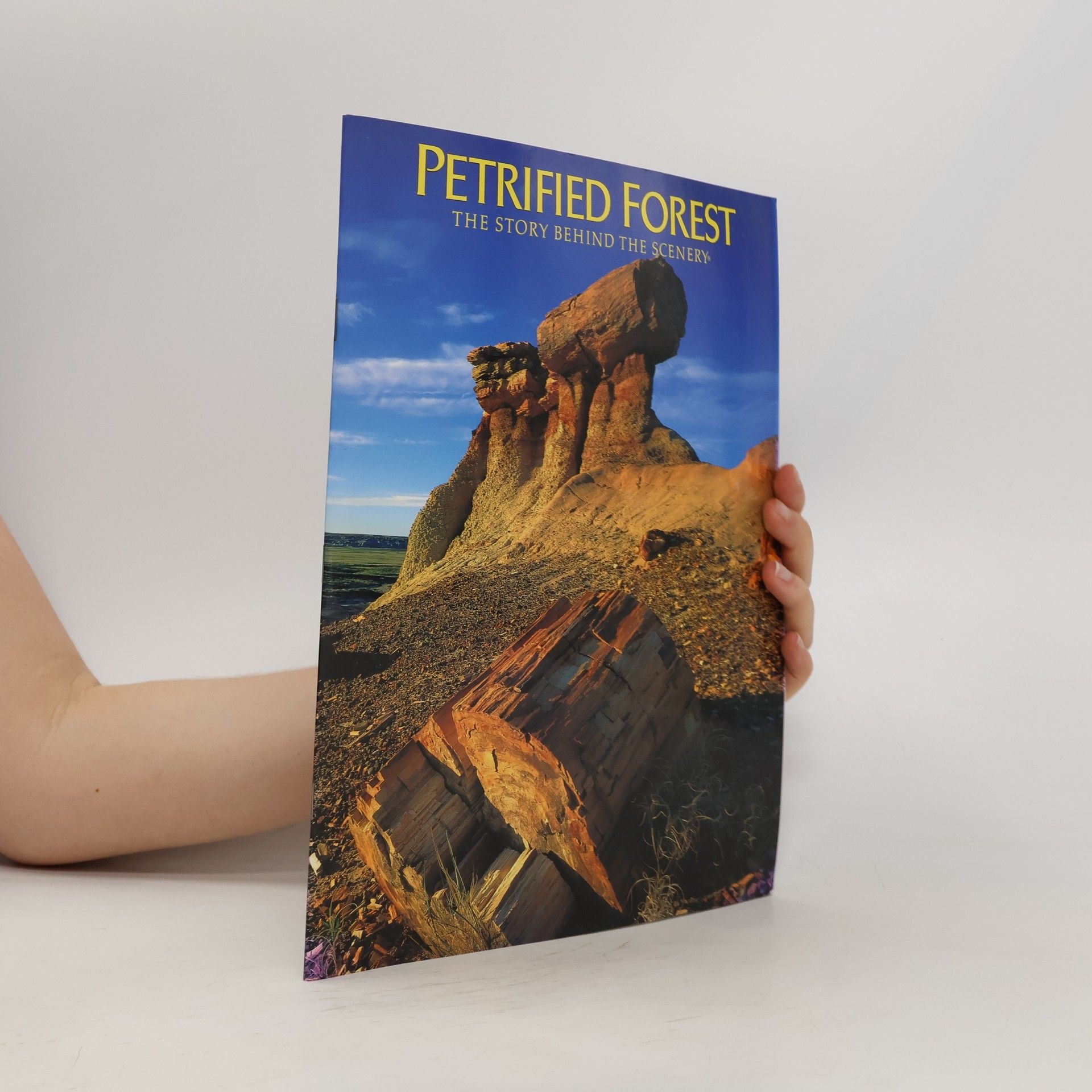 Ash Sidney Petrified forest: The story behind the scenery