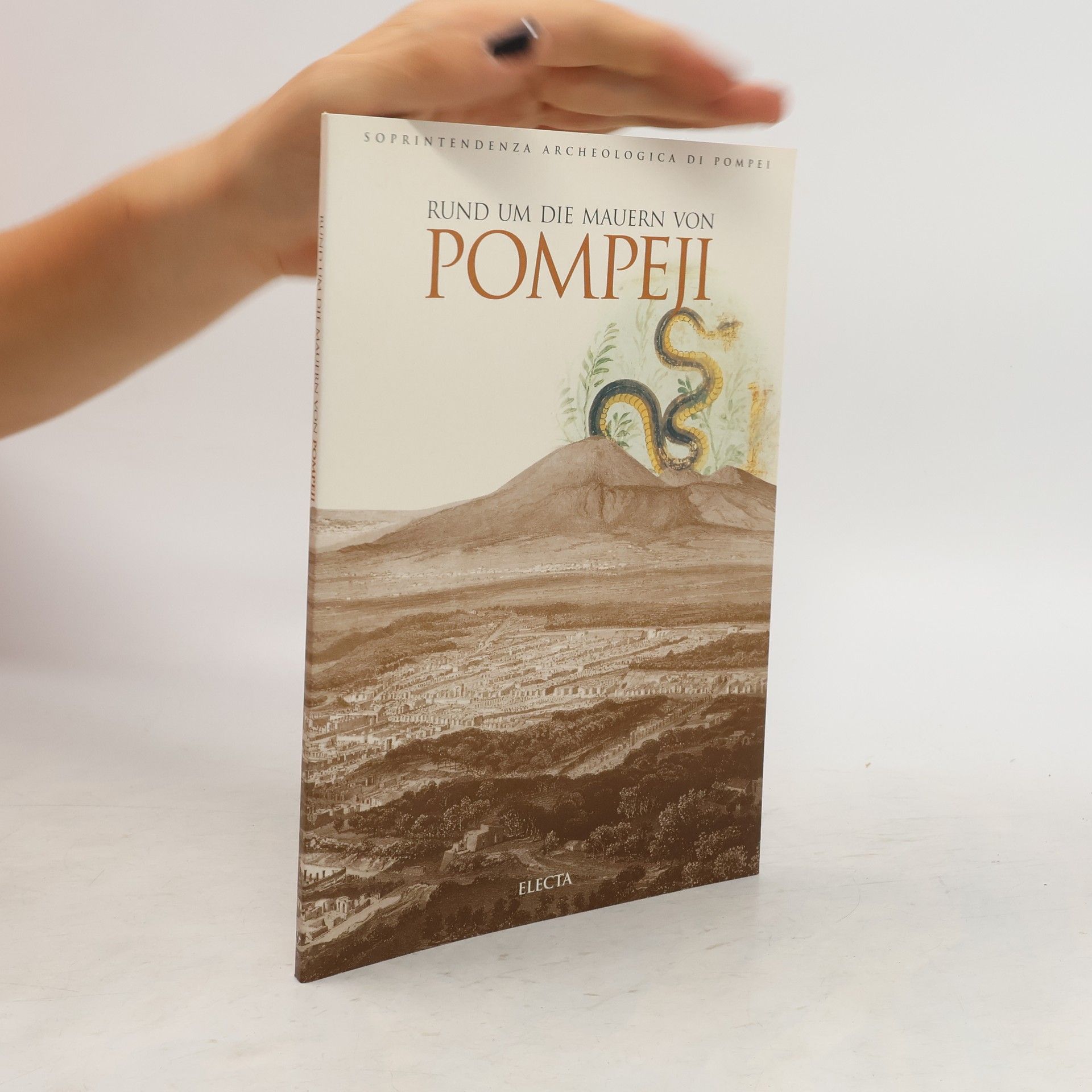 Collective Rund um die Mauern von Pompeji