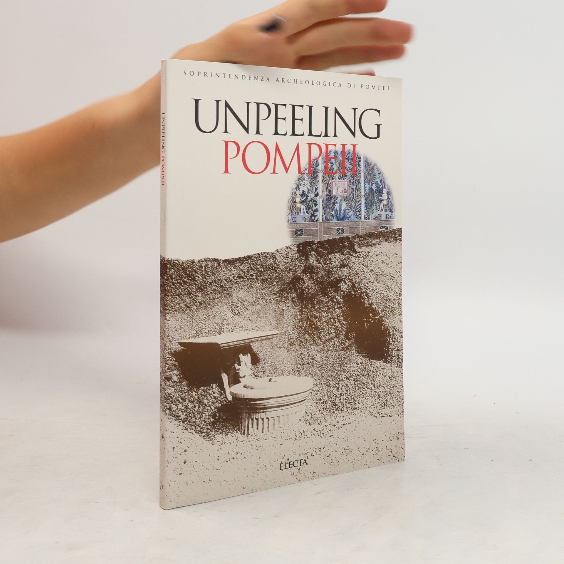 Joanne Berry Unpeeling Pompeii
