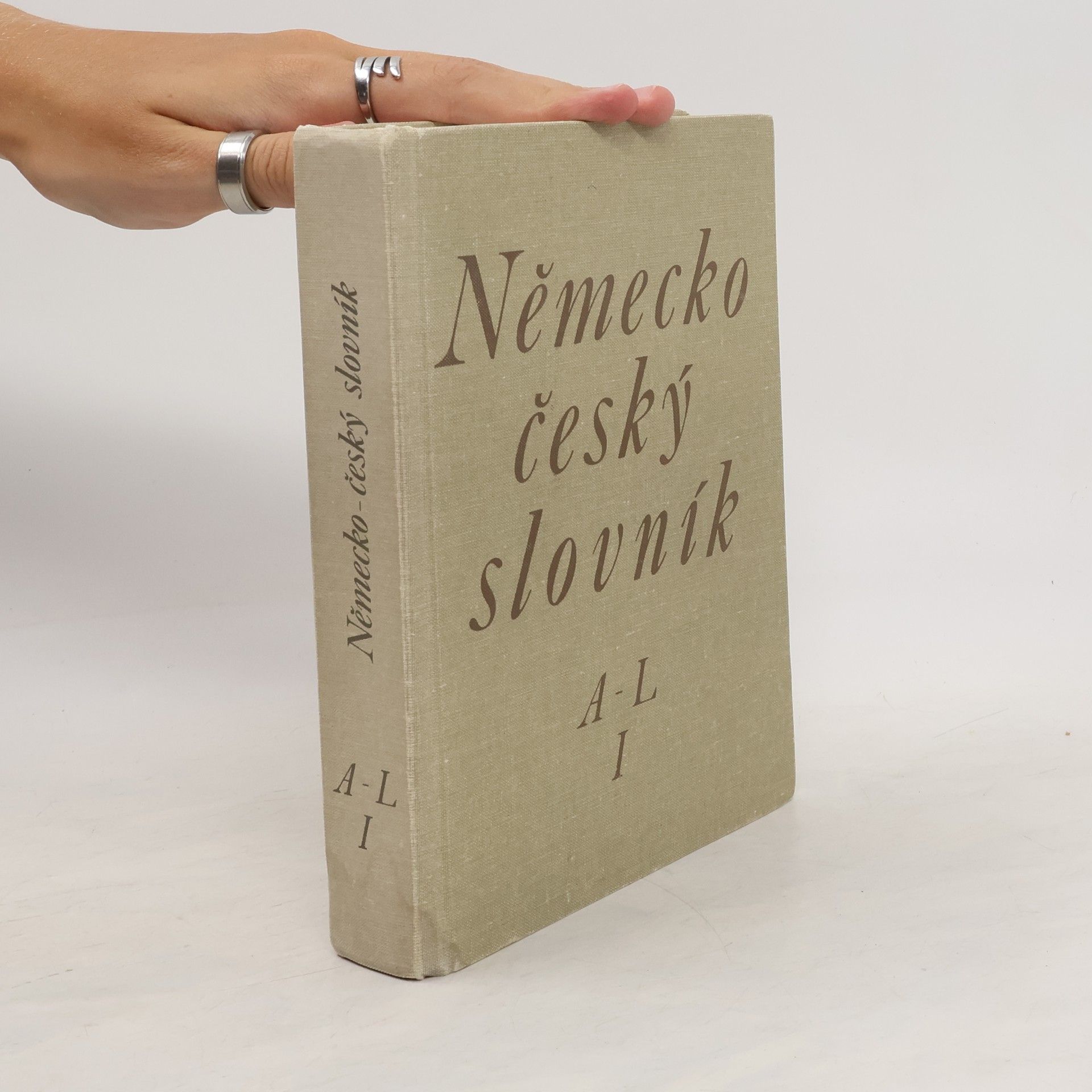 Autorenkollektiv Německo-český slovník I. A-L
