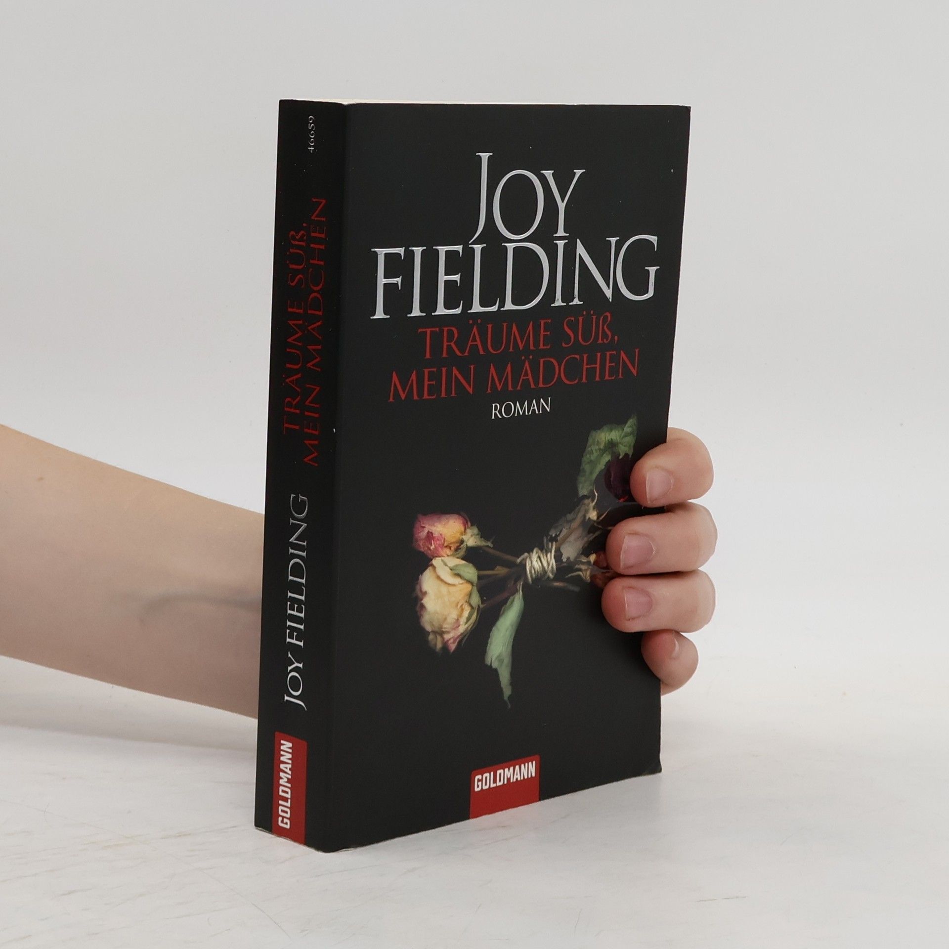 Joy Fielding Träume süss, mein Mädchen