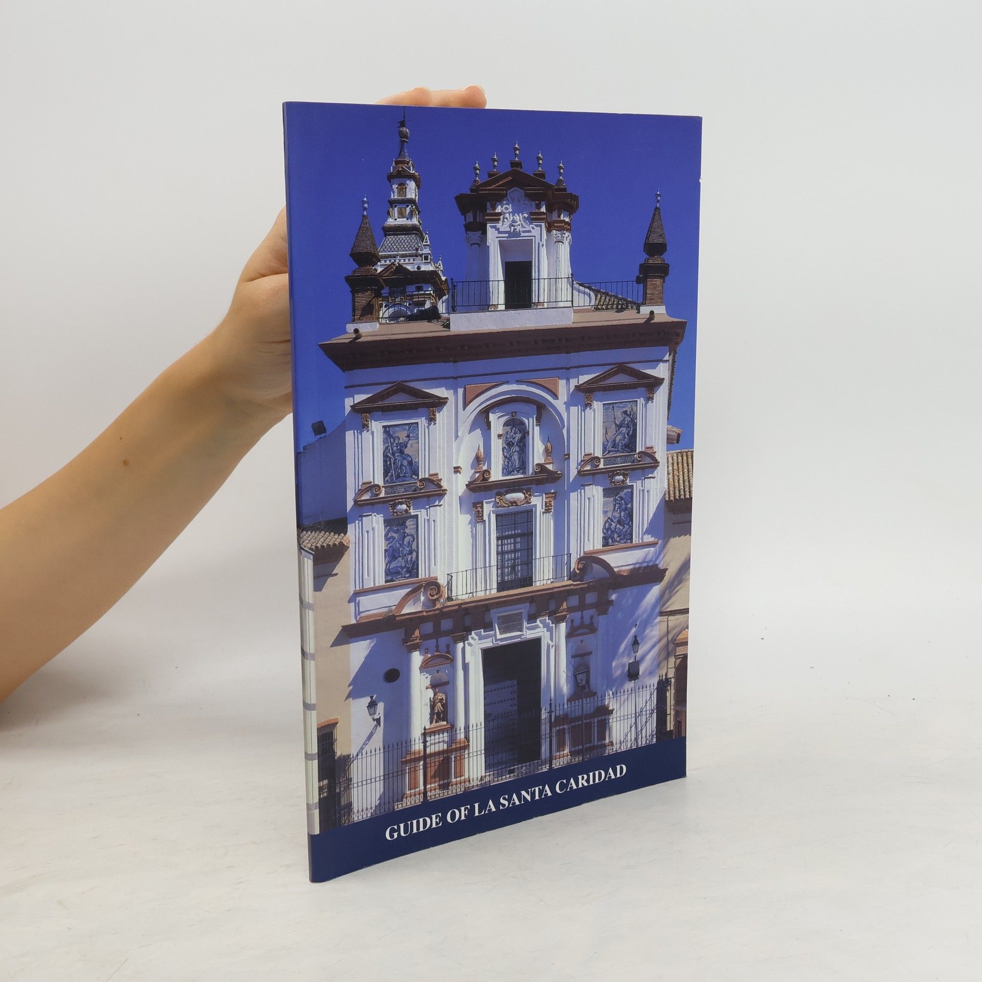 Enrique Valdivieso Guide of La Santa Caridad